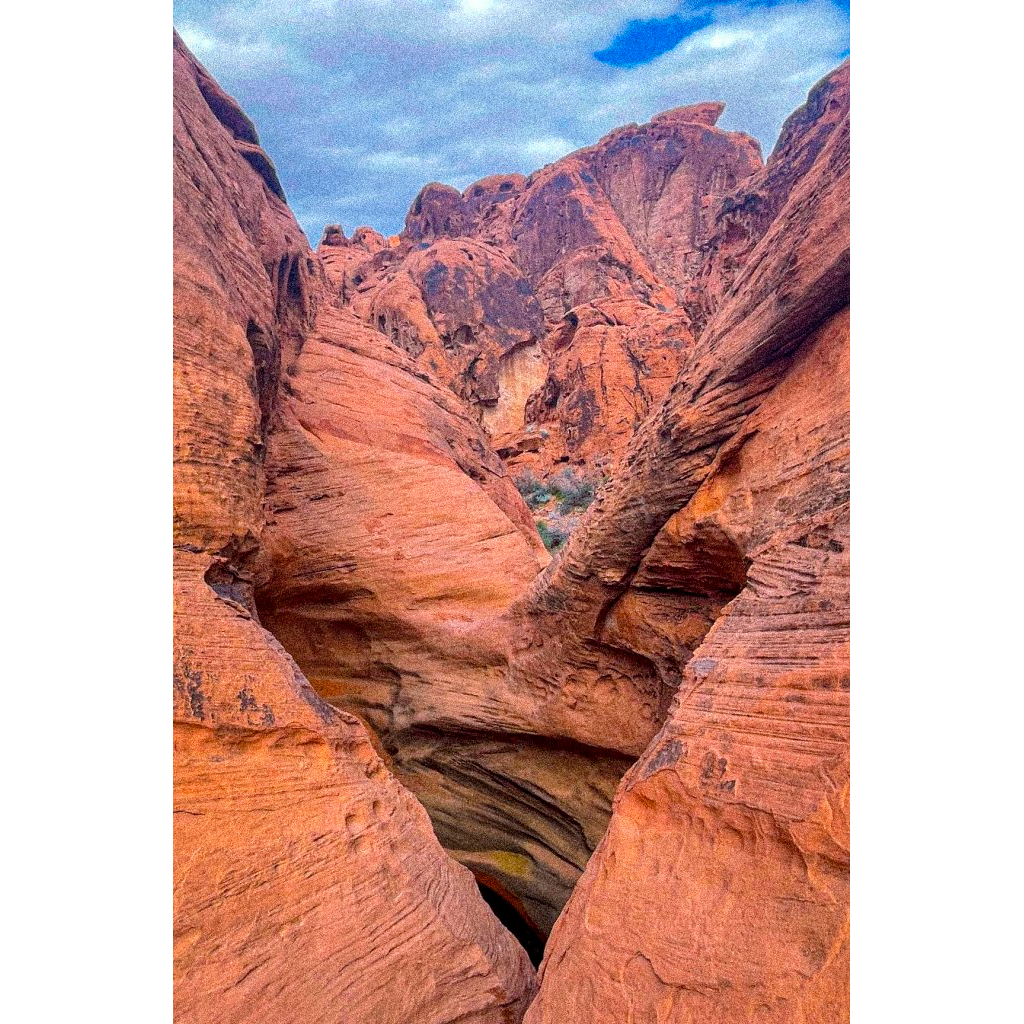 Desert Love
