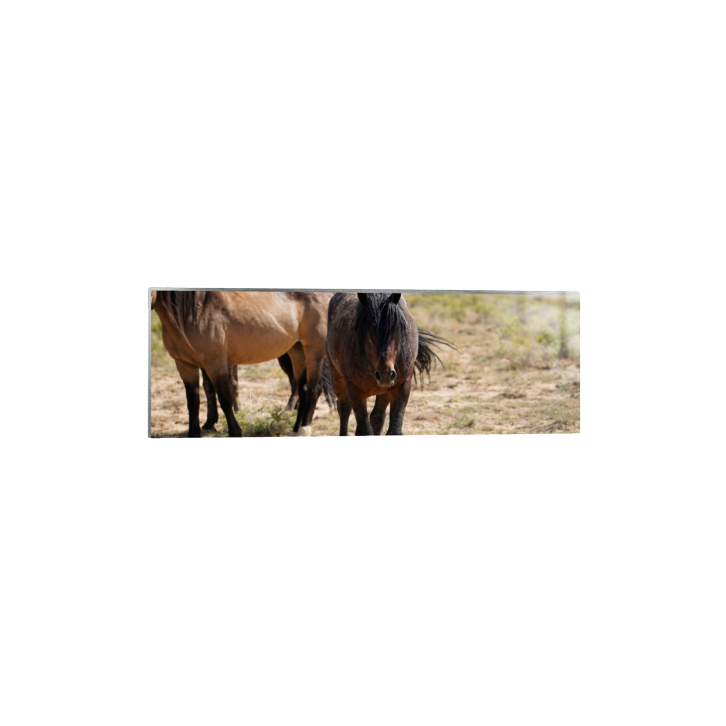 Howdy fine art print, framed mockup