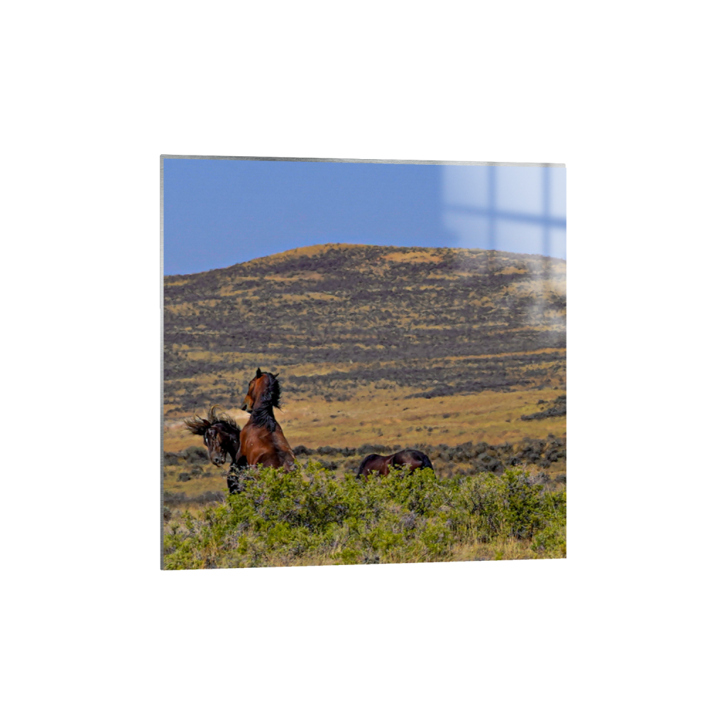 Showdown fine art print, framed mockup