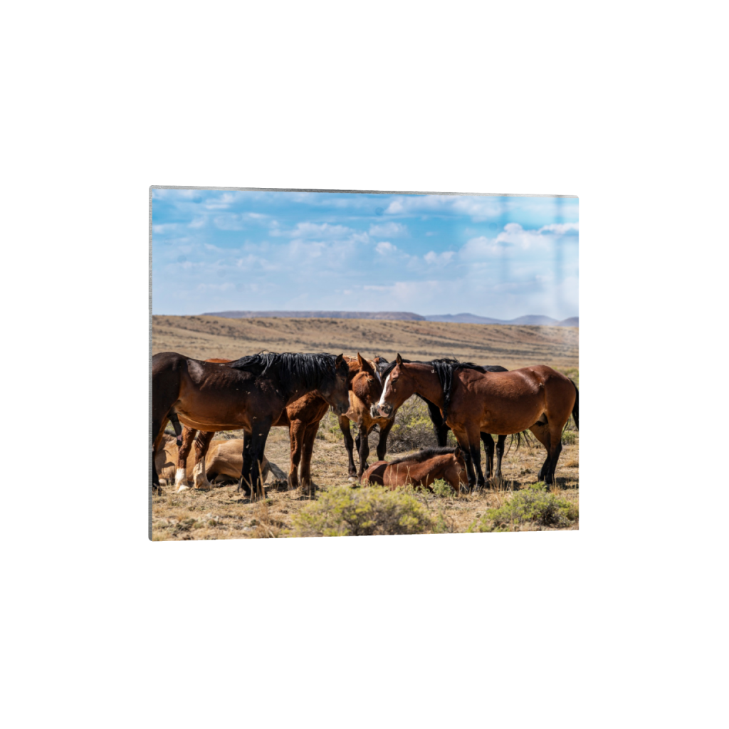 Family fine art print, framed mockup