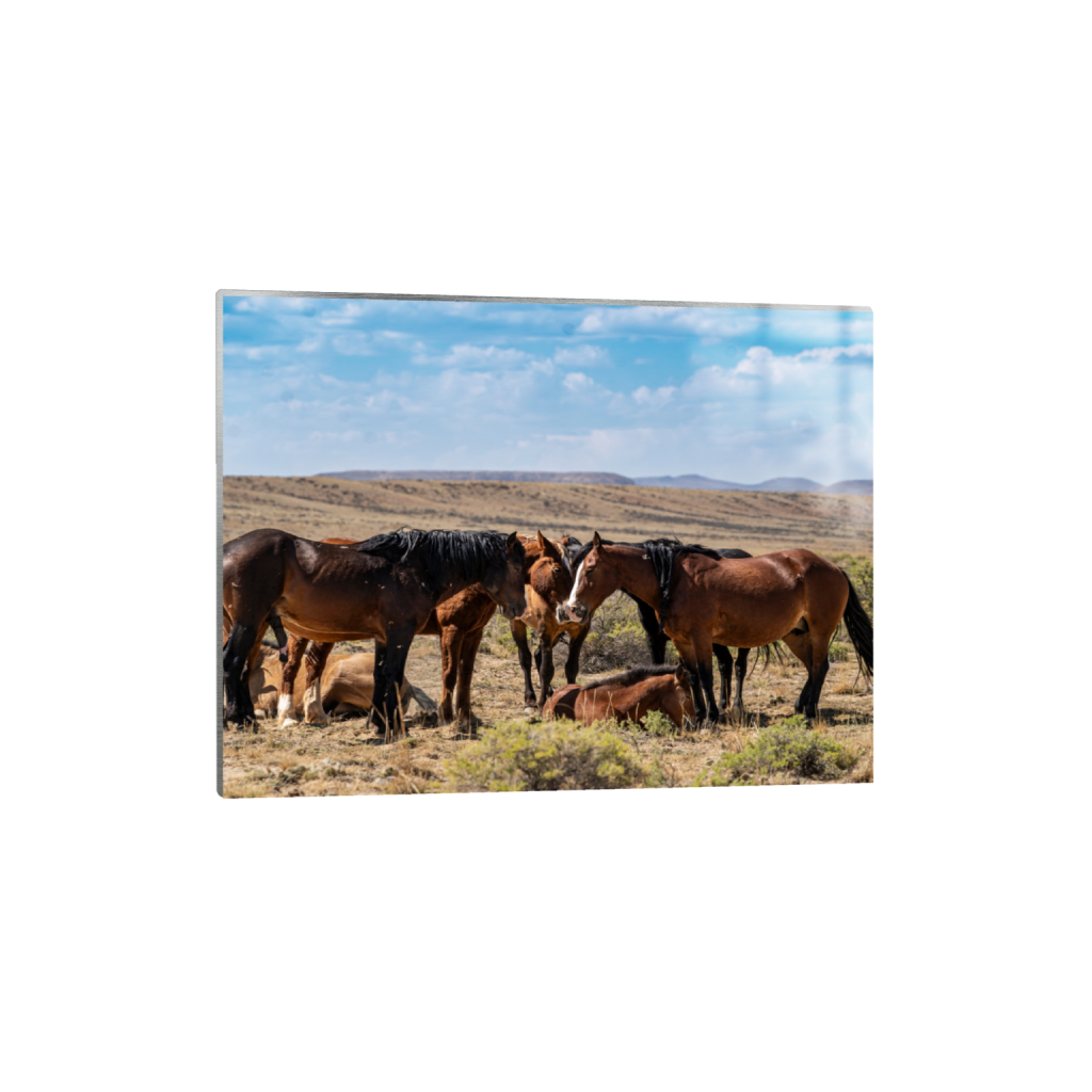 Family fine art print, framed mockup