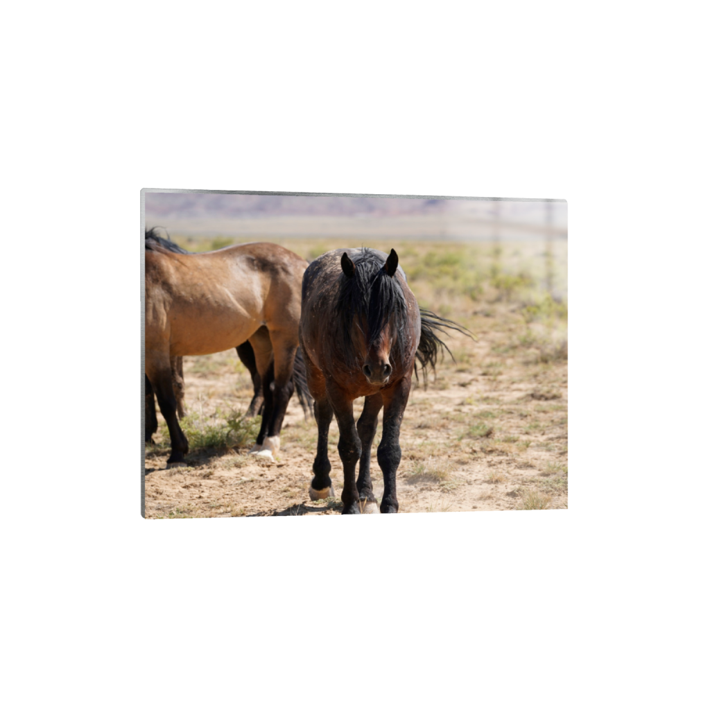 Howdy fine art print, framed mockup