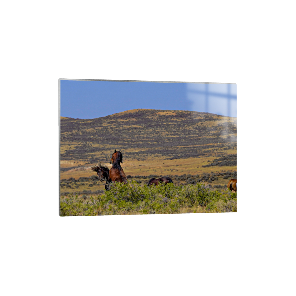 Showdown fine art print, framed mockup