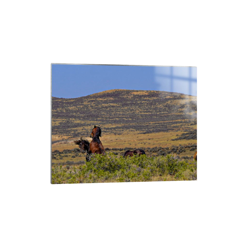 Showdown fine art print, framed mockup