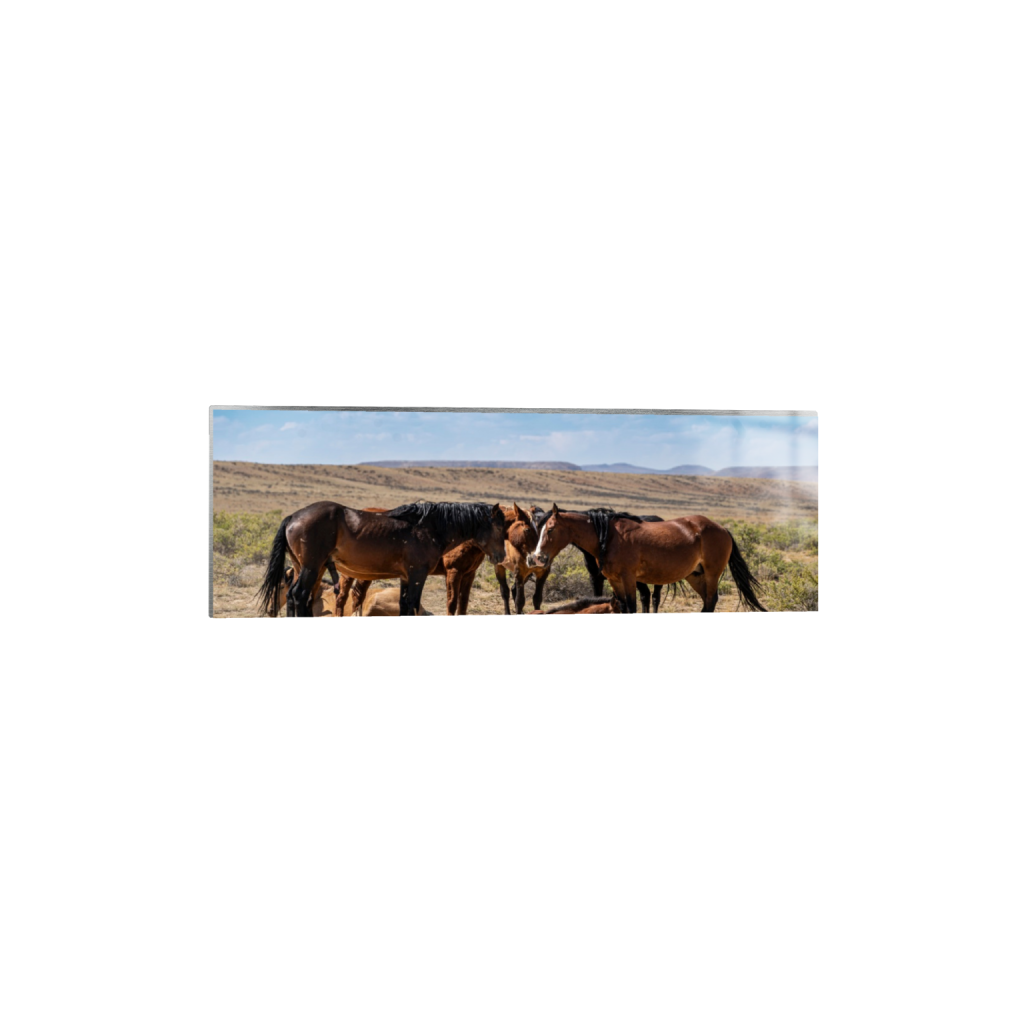 Family fine art print, framed mockup