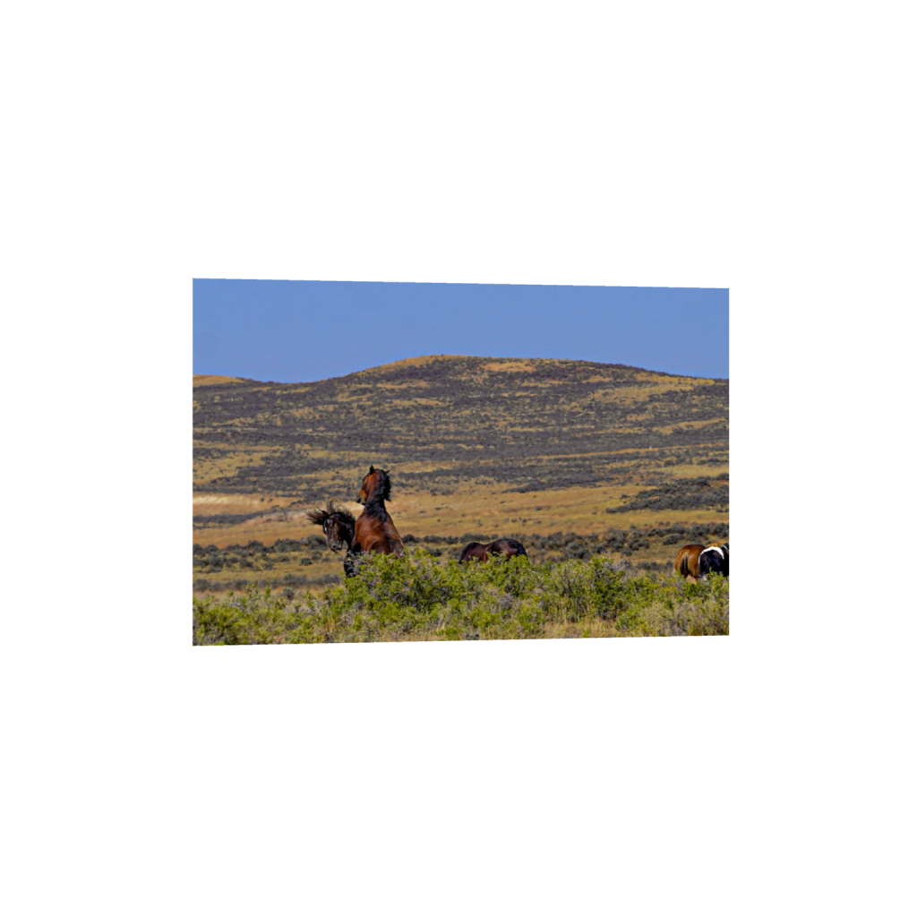 Showdown fine art print, framed mockup