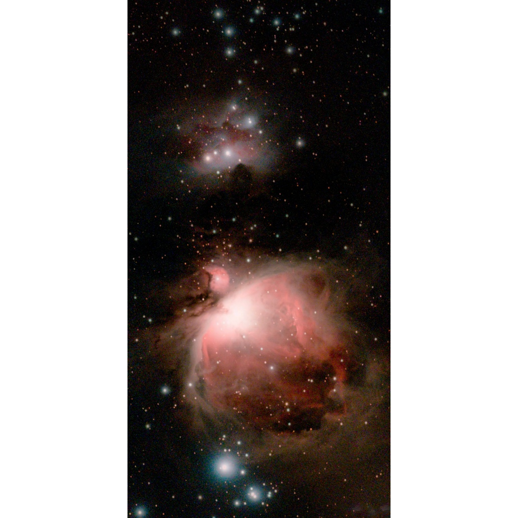 Pink-and-orange Orion Nebula glowing among a dense field of stars in deep space