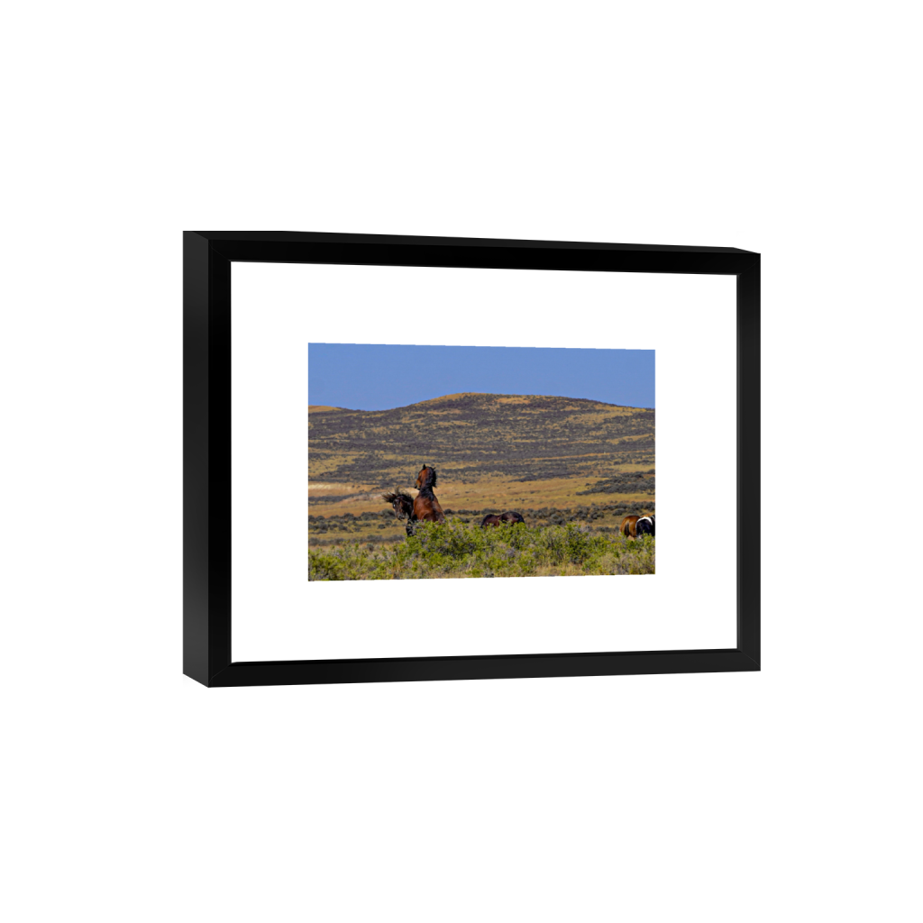 Showdown fine art print, framed mockup