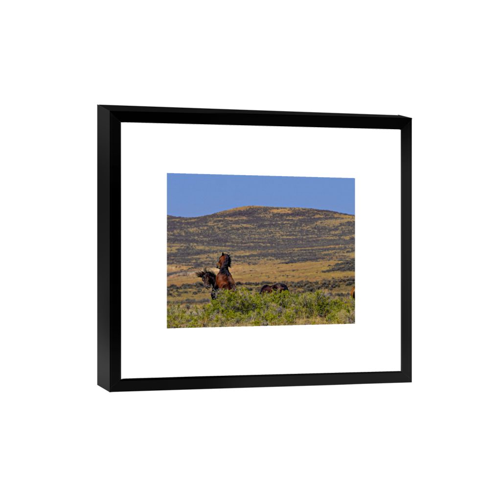 Showdown fine art print, framed mockup