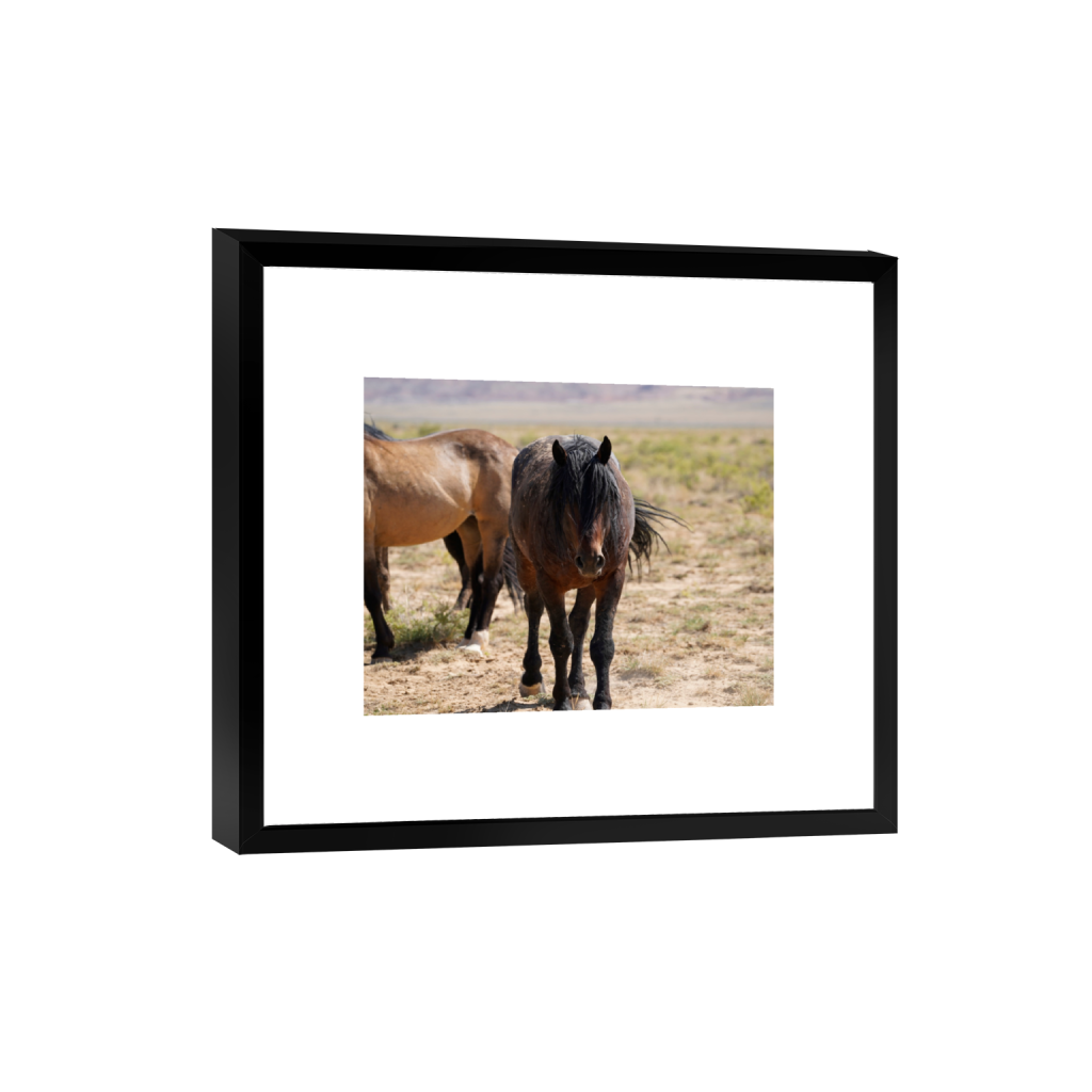 Howdy fine art print, framed mockup