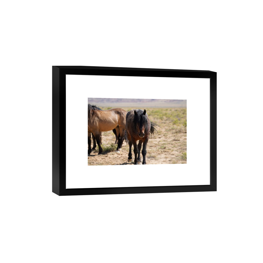 Howdy fine art print, framed mockup