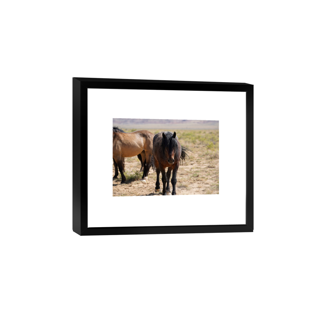 Howdy fine art print, framed mockup