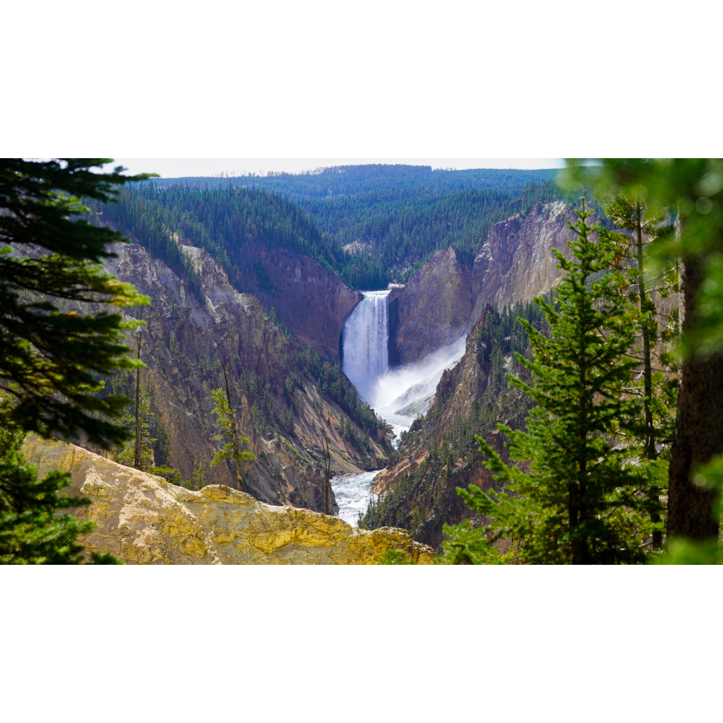 Artist Point Vista