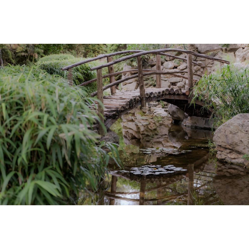 Rustic arched log footbridge over still water with lily pads and lush green foliage