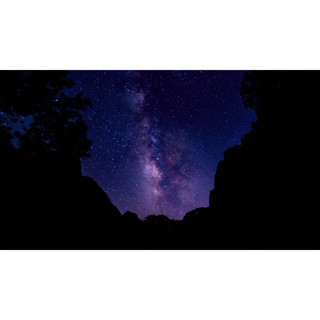 Zion Nights