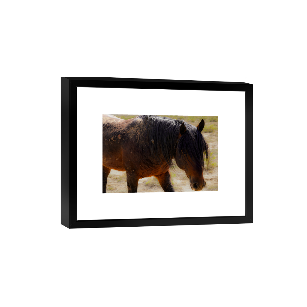 Mare fine art print, framed mockup