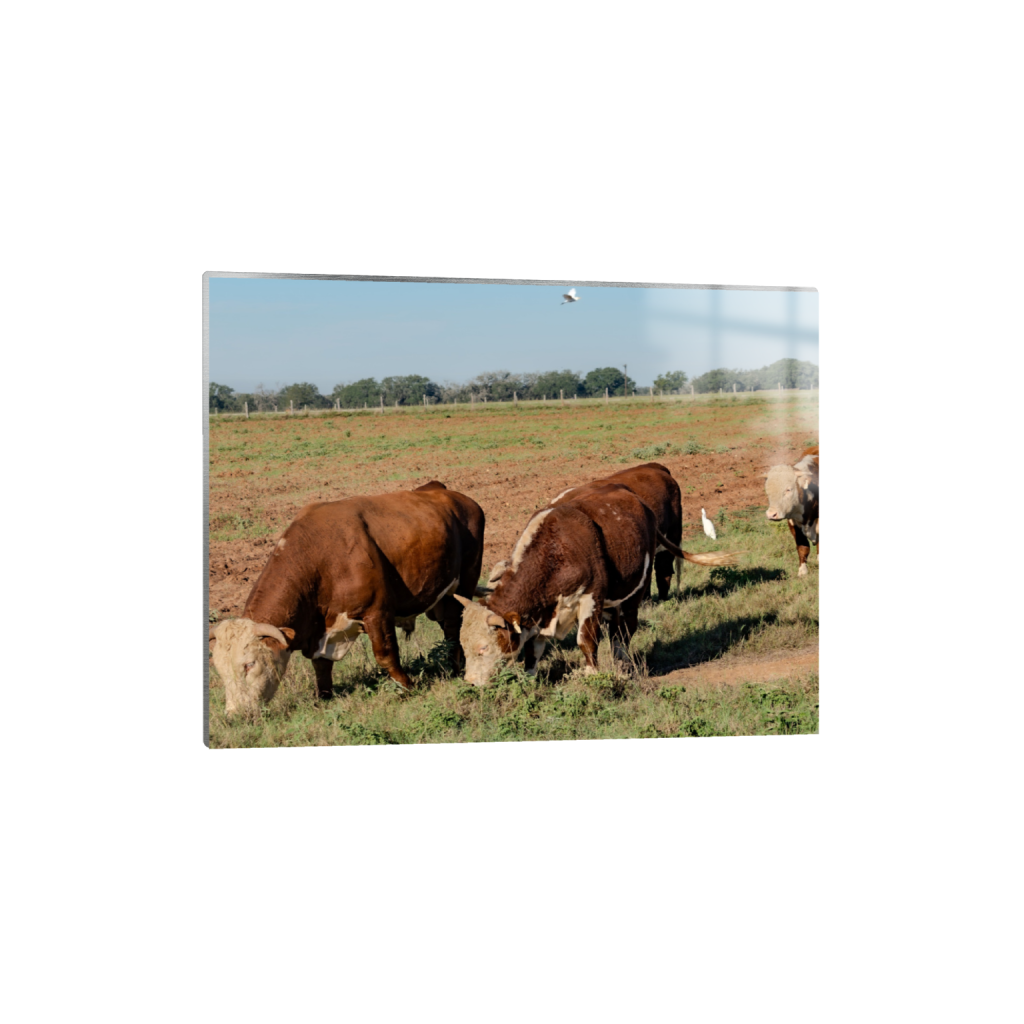 Brunch fine art print, framed mockup
