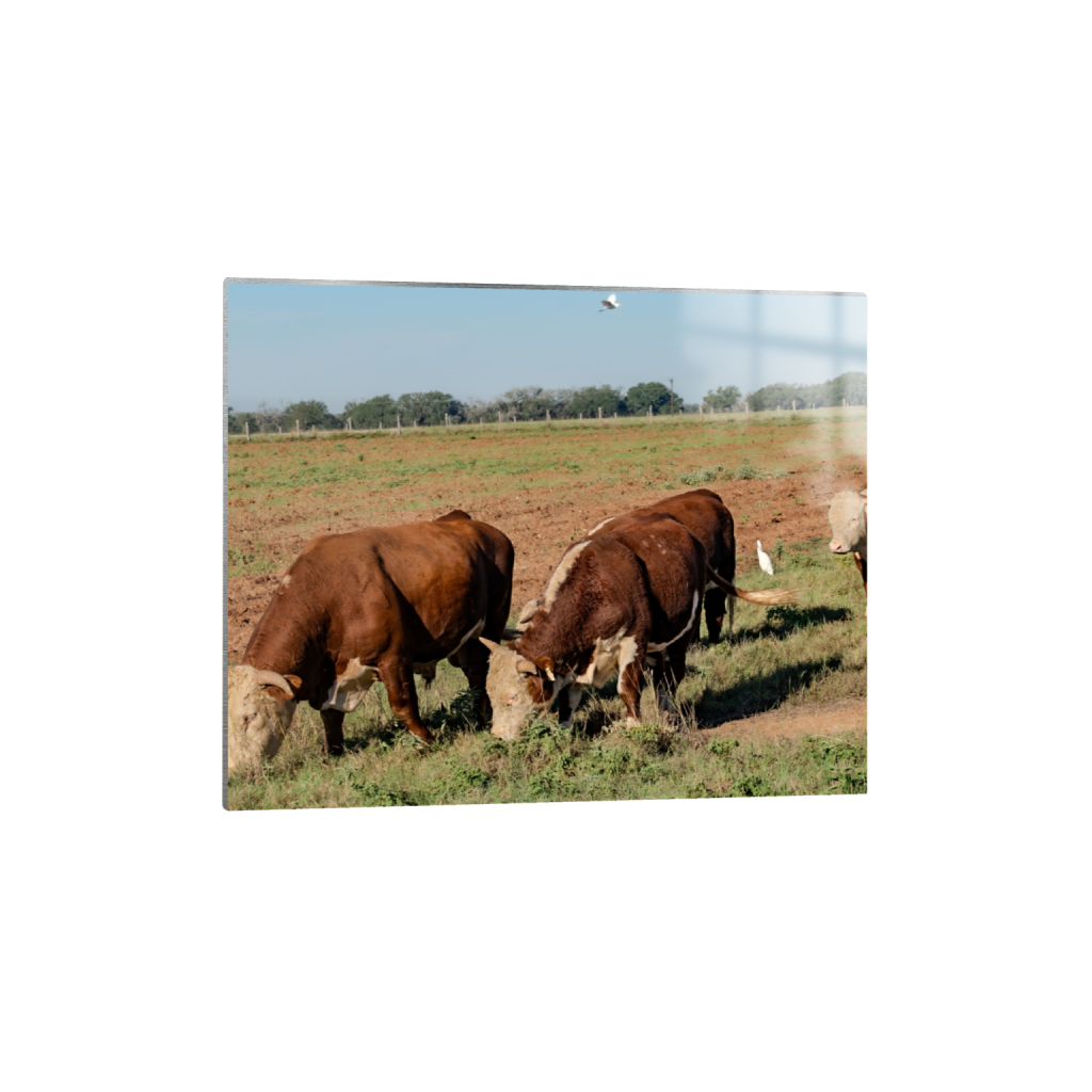 Brunch fine art print, framed mockup
