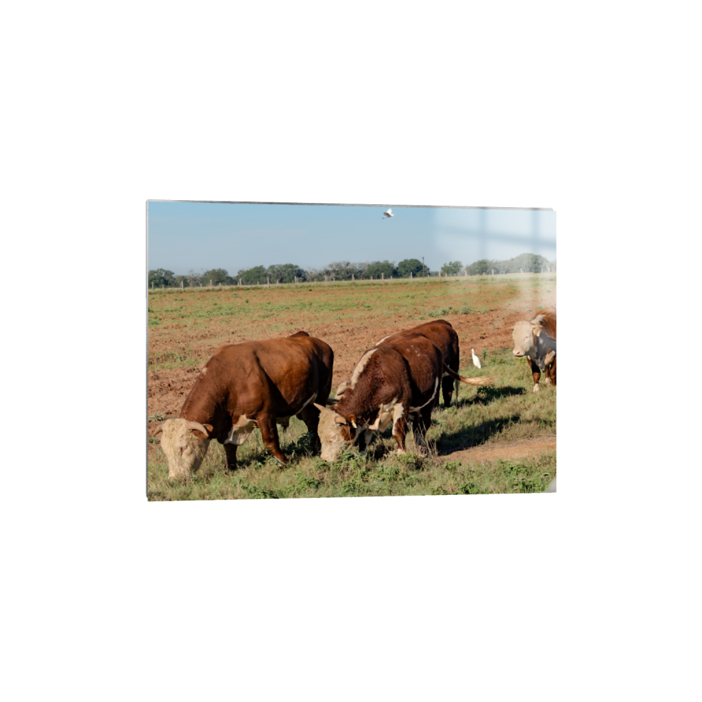 Brunch fine art print, framed mockup