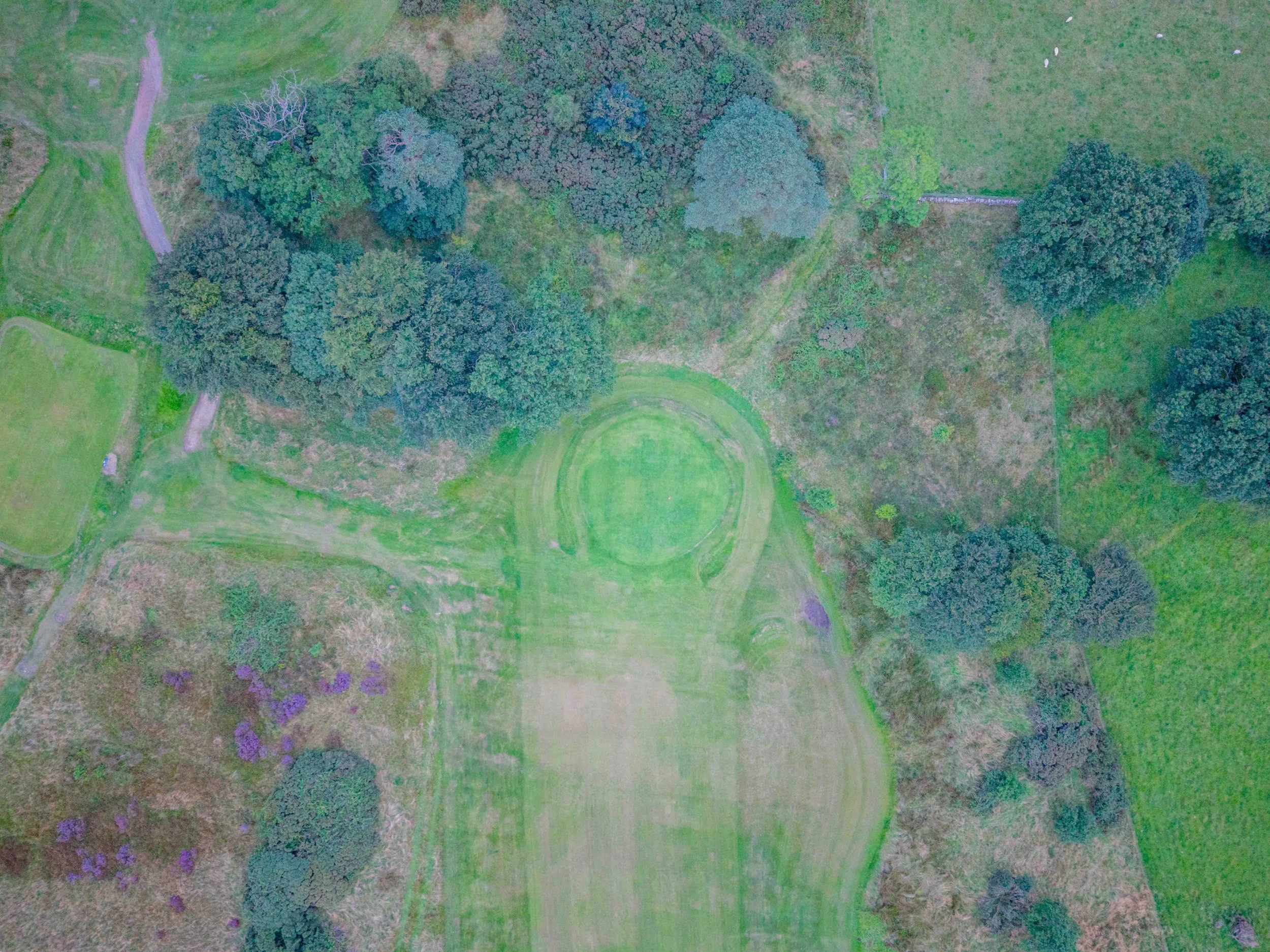 DJI_20260811204306_0066_D-HDR.jpg