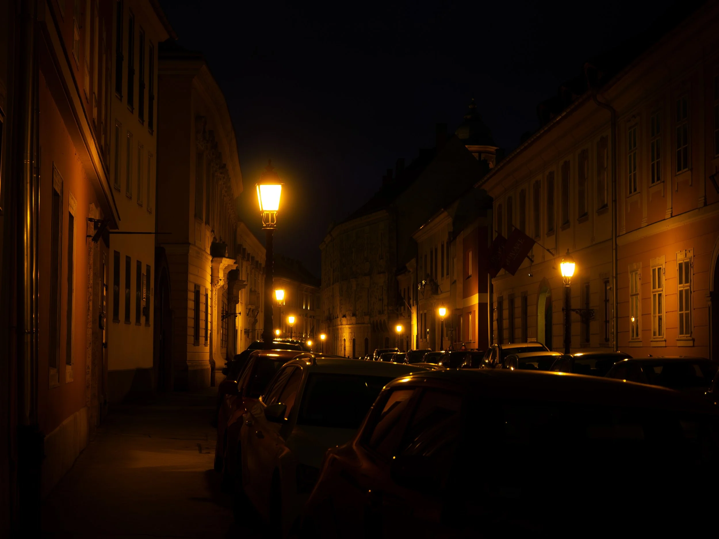 P1010389.jpg