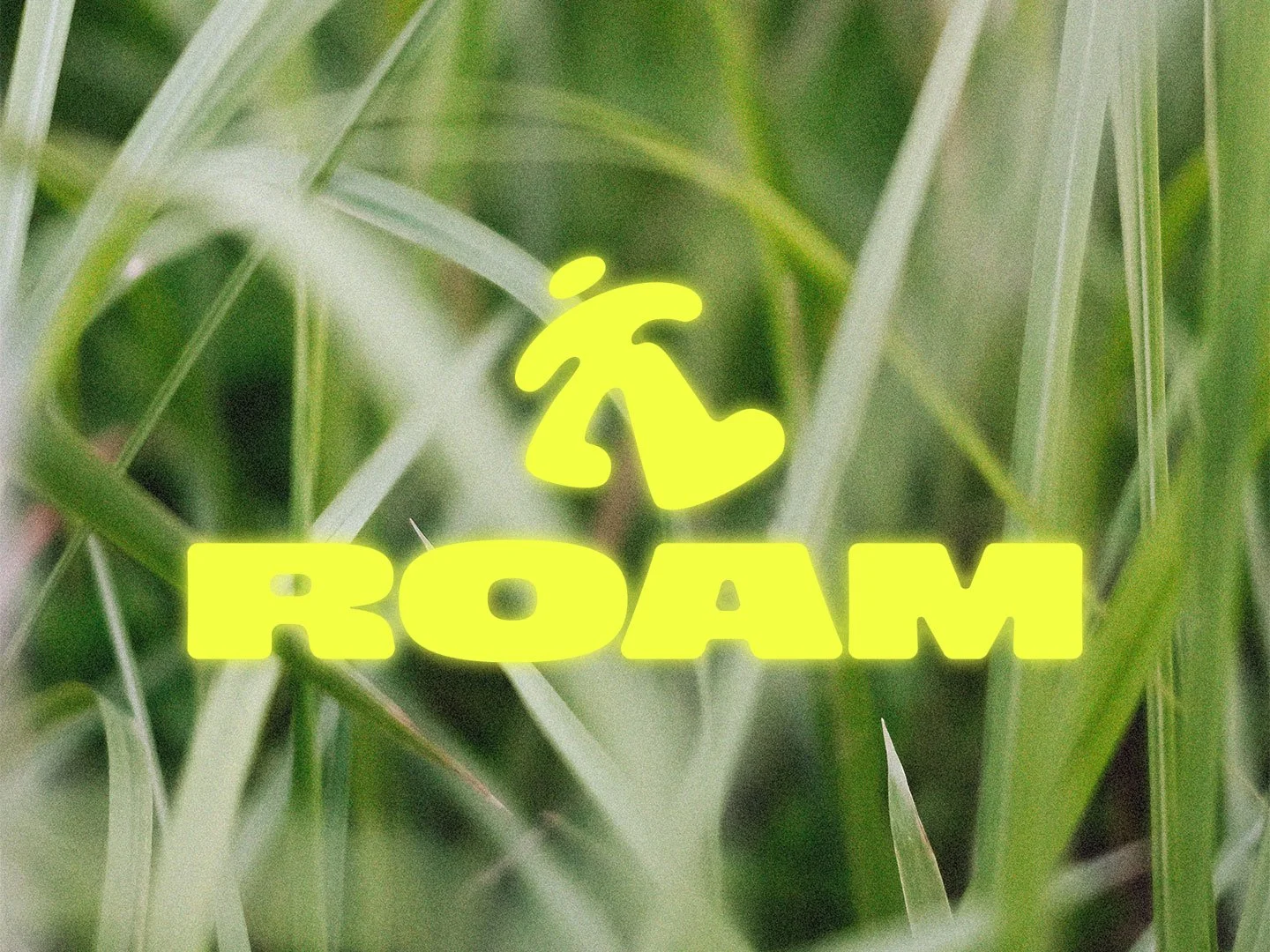 ROAM.jpg