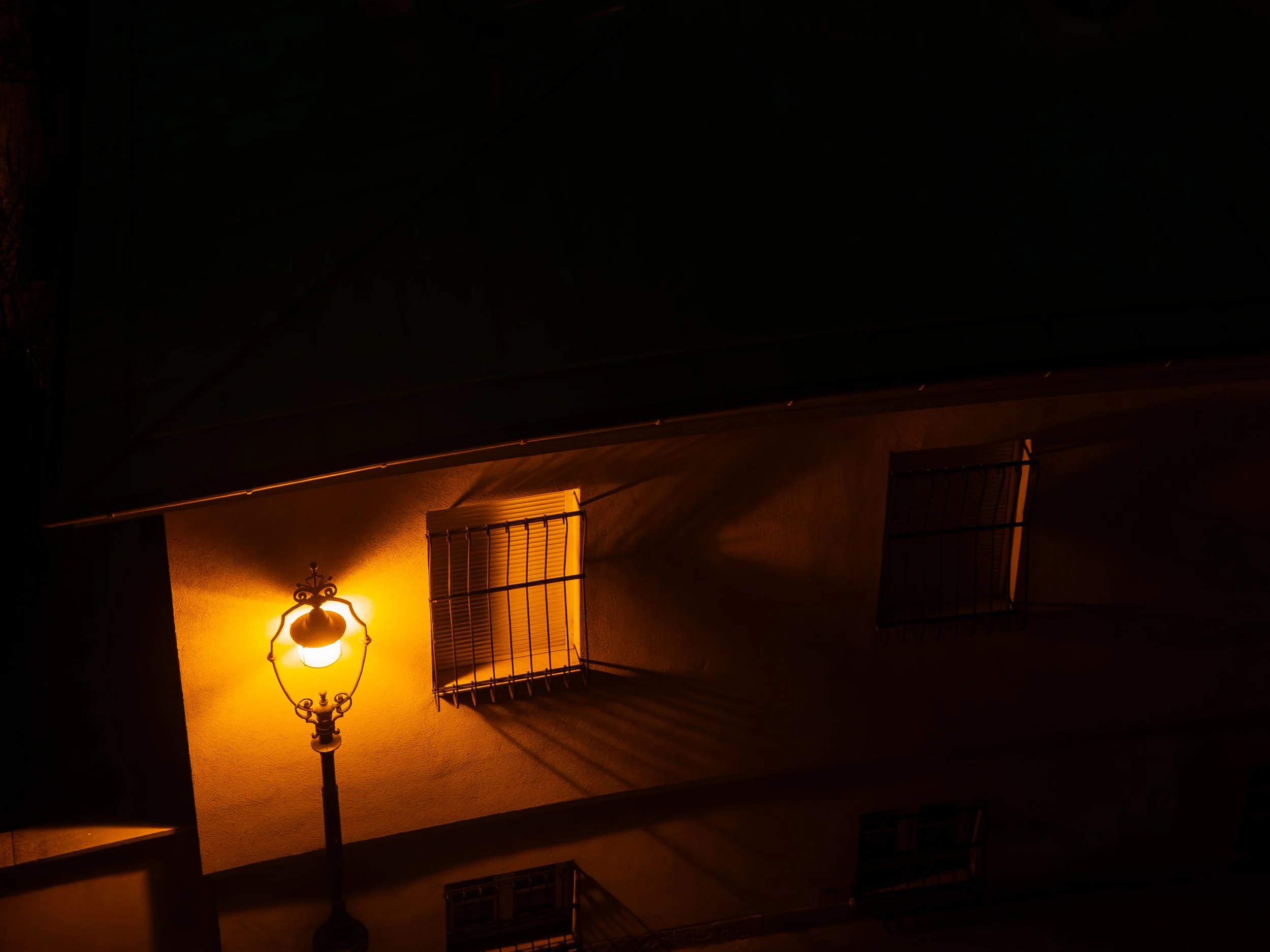 P1010402.jpg