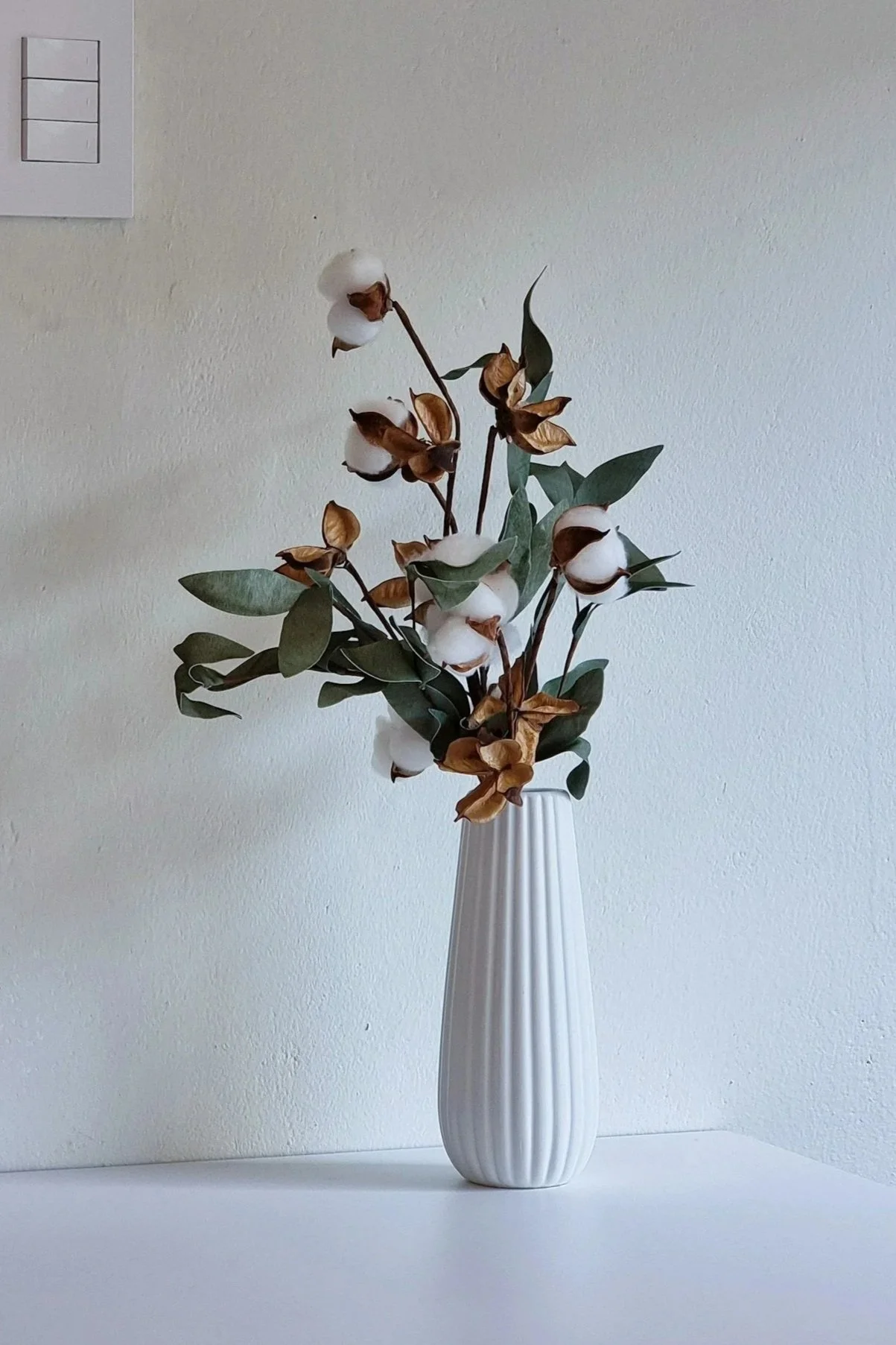 A tall, white, ribbed ceramic vase containing dried cotton stems and leaves, placed on a white surface against a plain off-white wall backdrop.