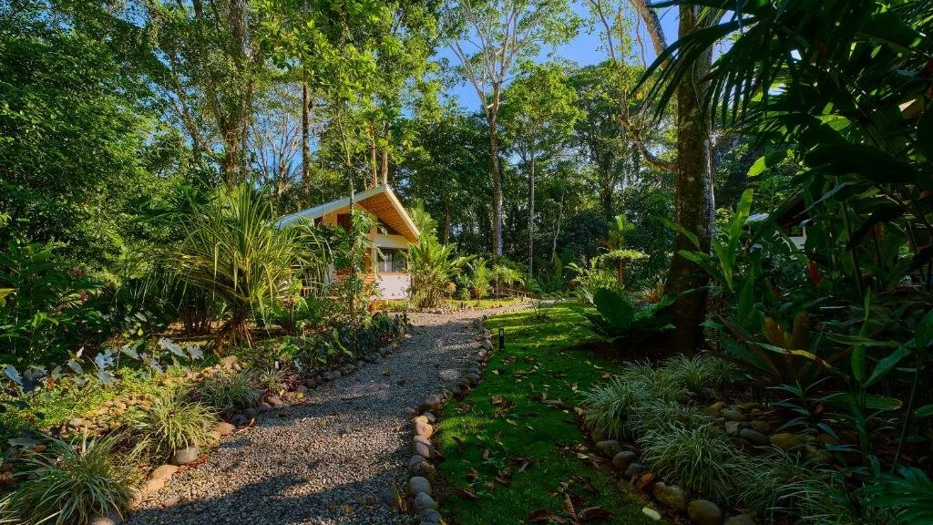 dragonflyretreat-1.jpg