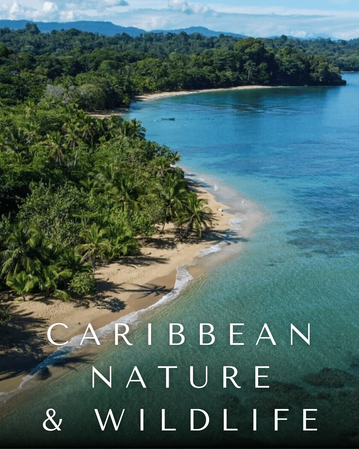 Tropical jungle experience during a personalized retreat in Costa Rica