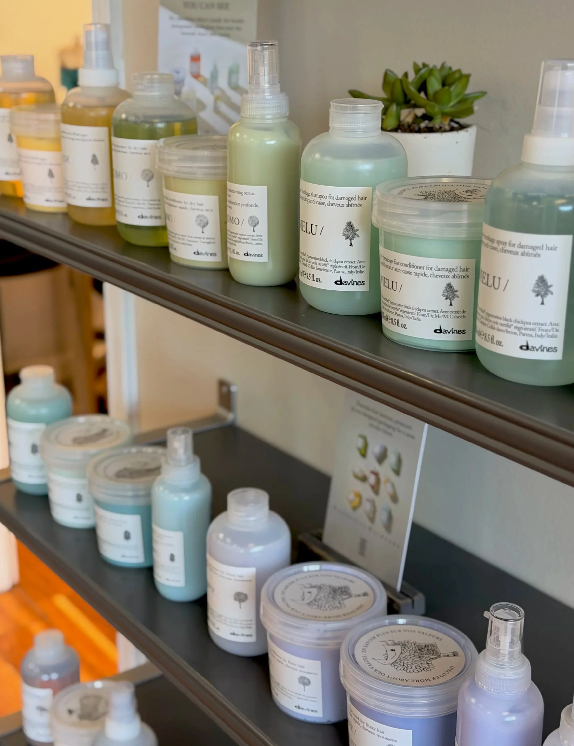 Shelf containing various hair care and styling products, including bottles, jars, and spray containers, alongside a potted succulent plant in a white pot, in a salon or shop setting.