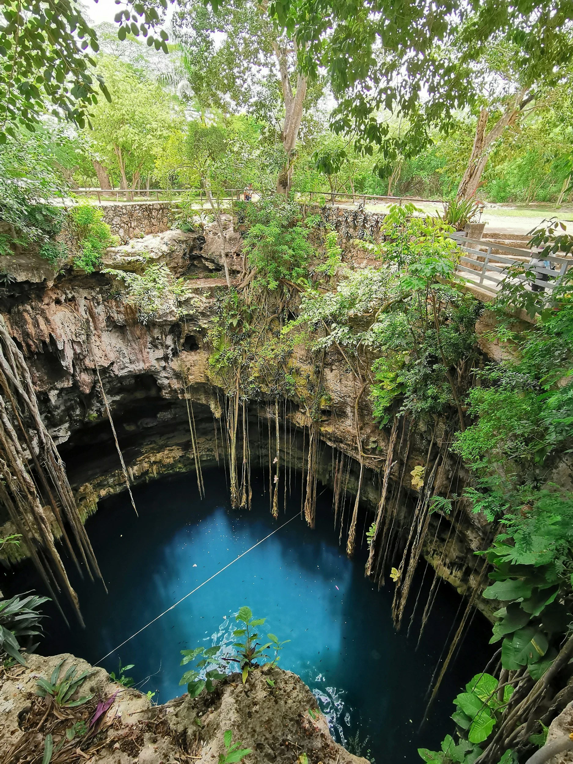 Cenote surrounded by lush jungle in Yucatán, Mexico.