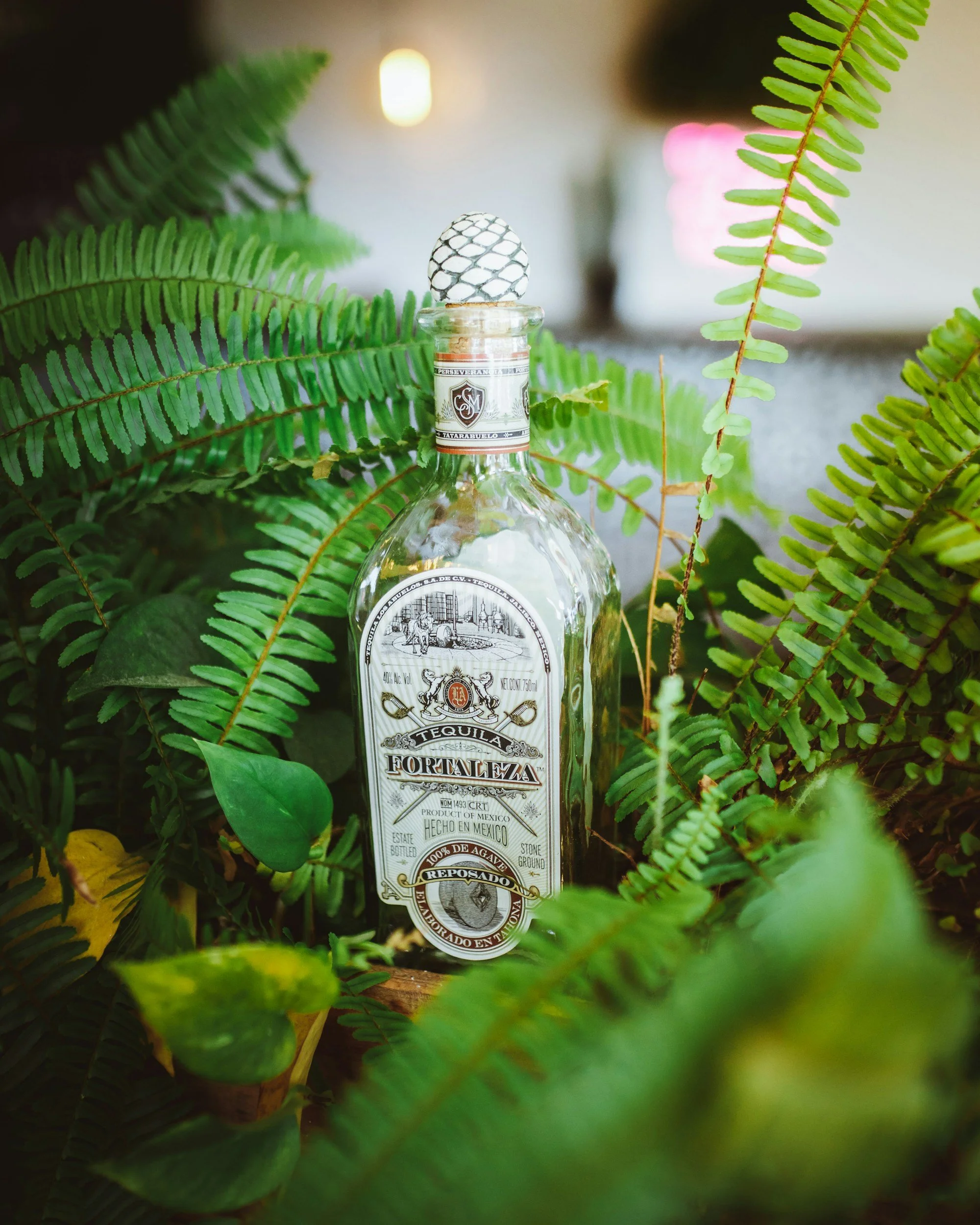 A clear tequila bottle labeled 'Fortaleza' is surrounded by green fern leaves.