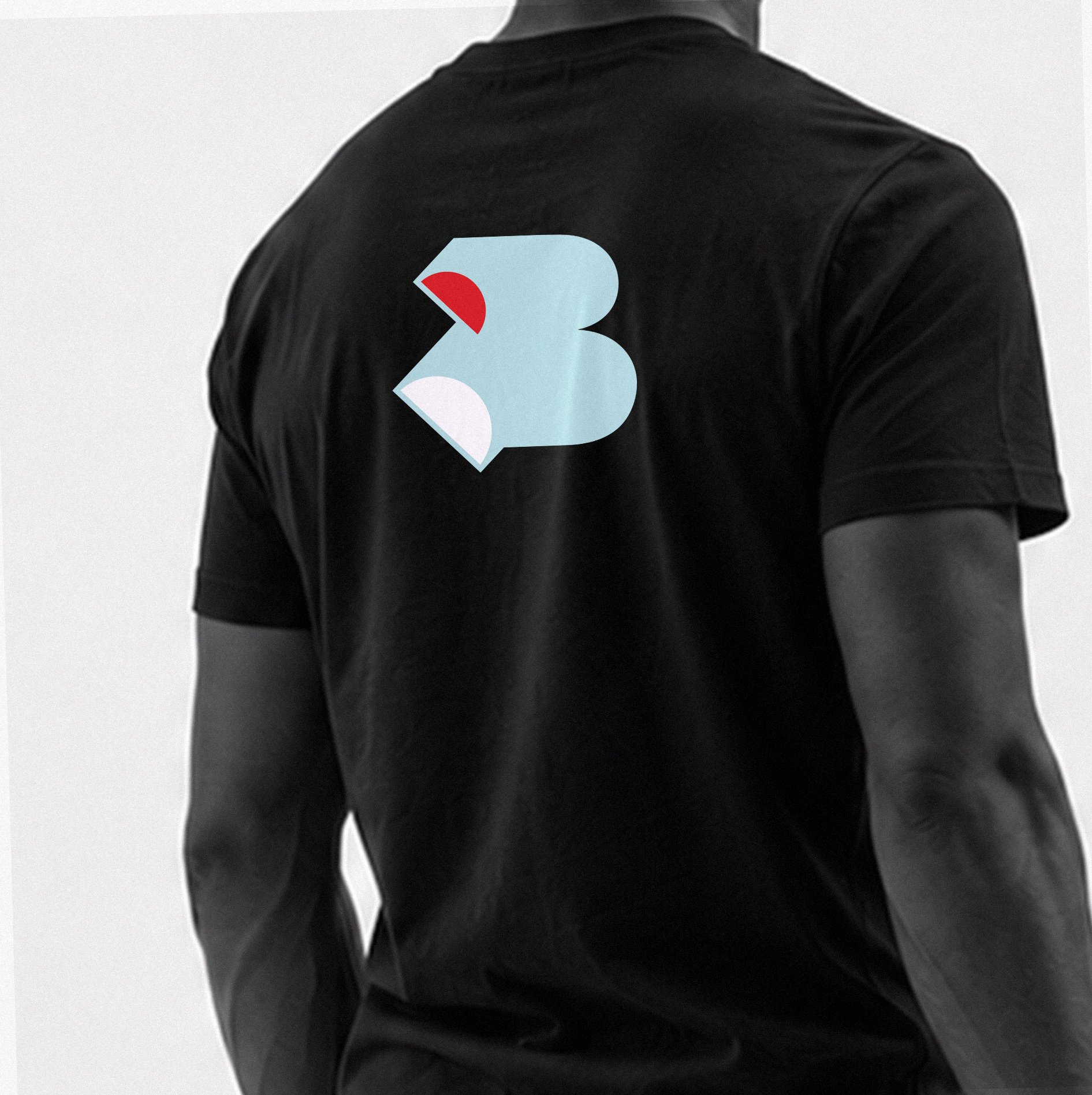 GRAPHIC VOLUMES red & blue & back IN SITU.jpg
