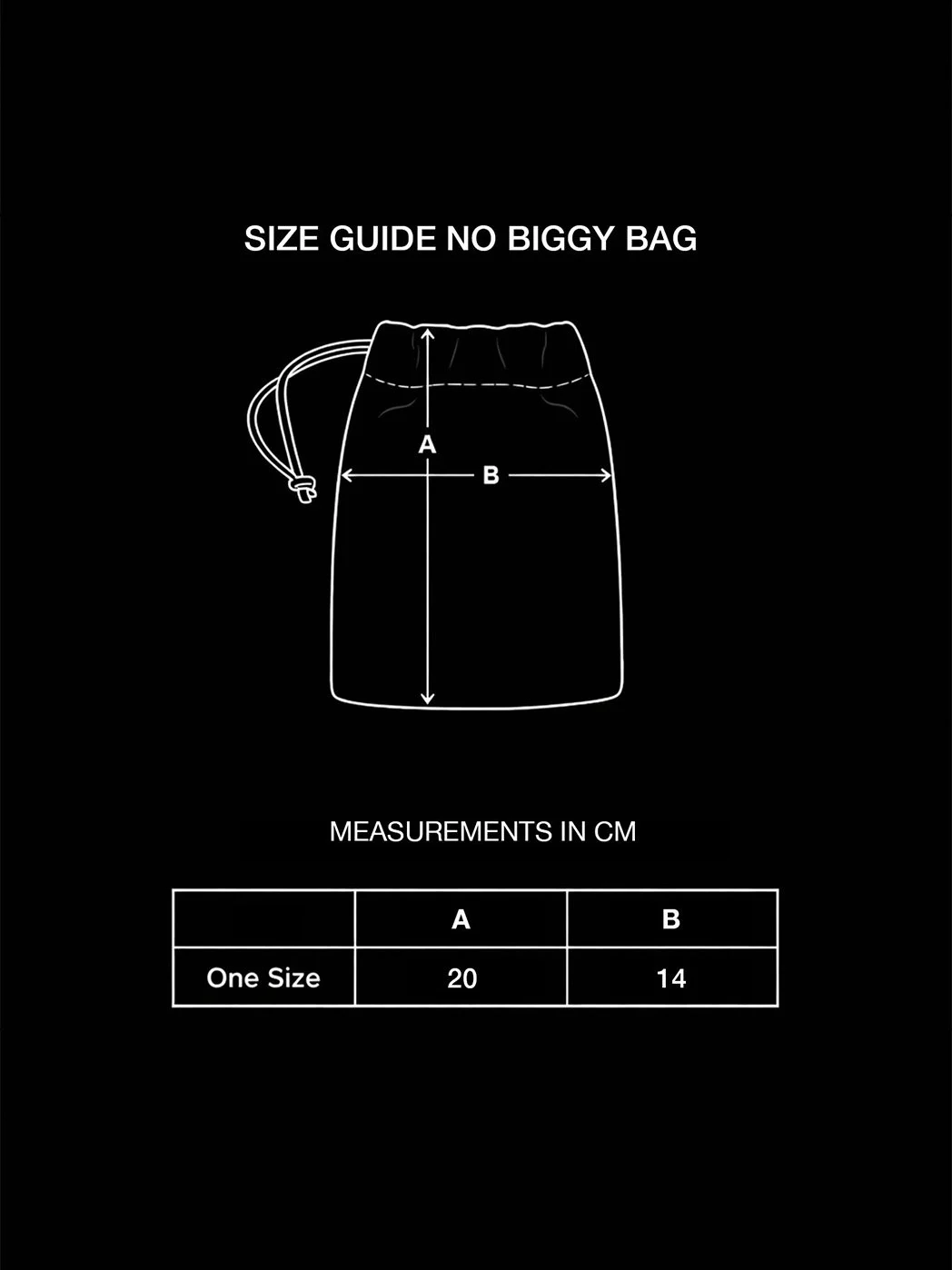 SIZE GUIDE NO BIGGY BAG SQUARESPACE.jpg