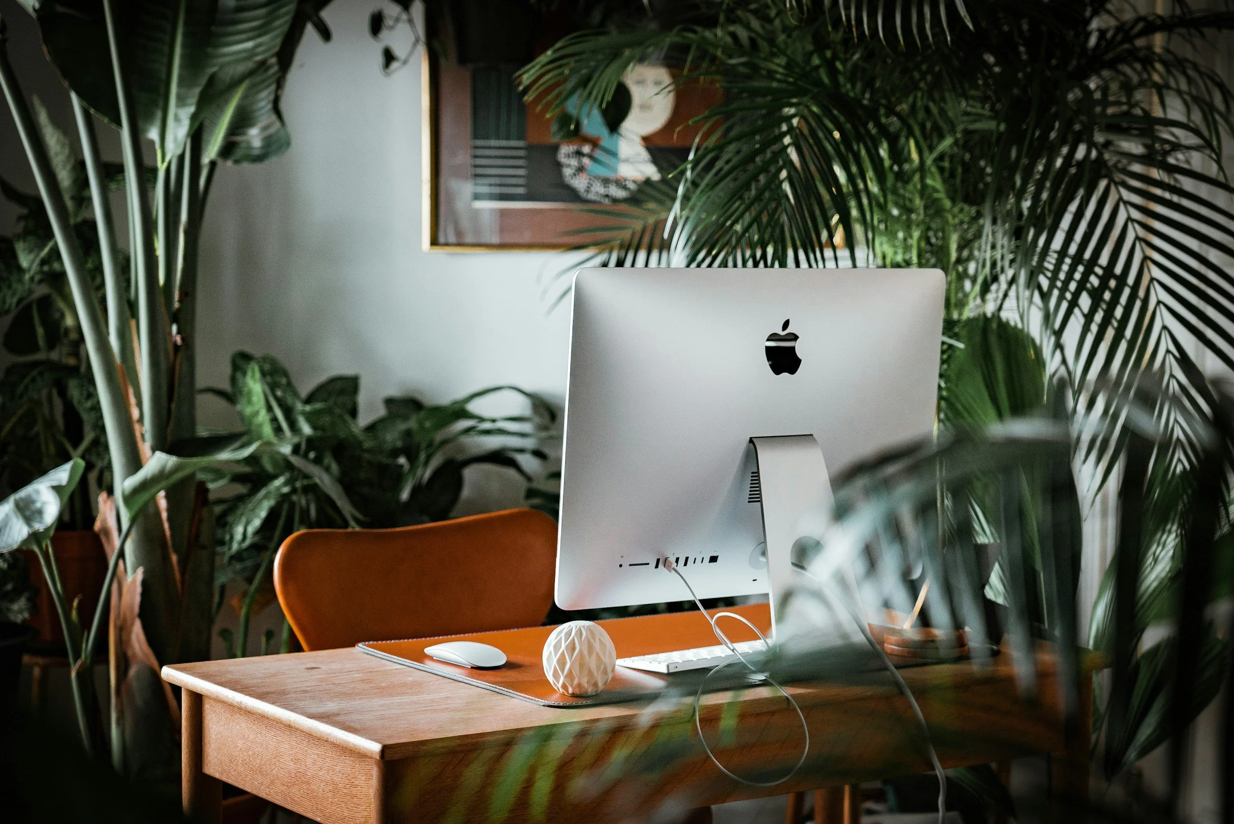 An office desk with an iMac computer, wireless mouse, and decorative white sphere on a wooden table, surrounded by lush green plants, with a framed painting hanging on the wall in the background.