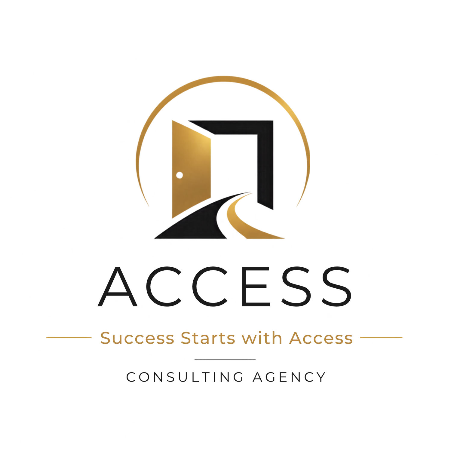 ACCESS CONSULTING AGENCY 