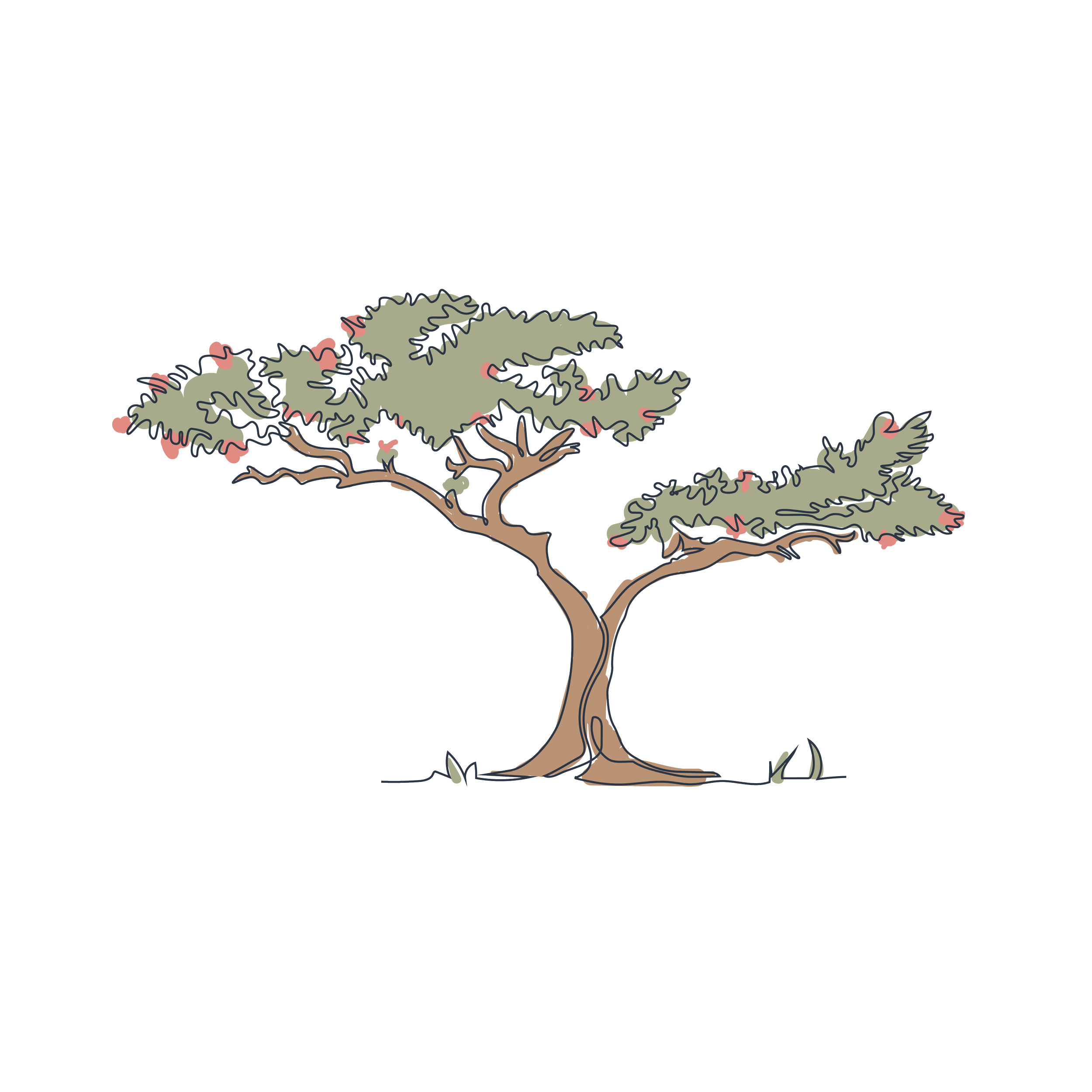Hand drawn illustration of a tree