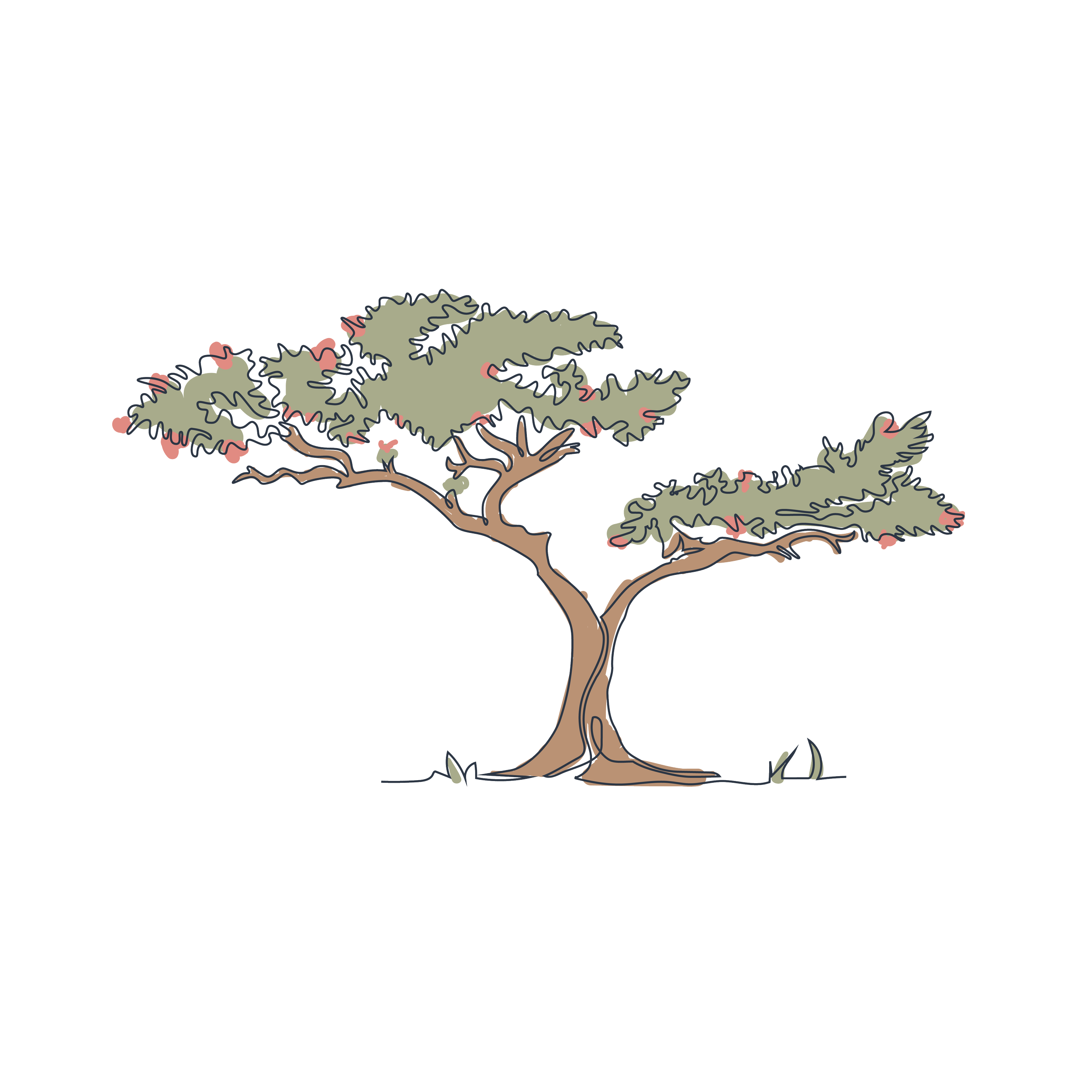 Hand drawn illustration of a tree