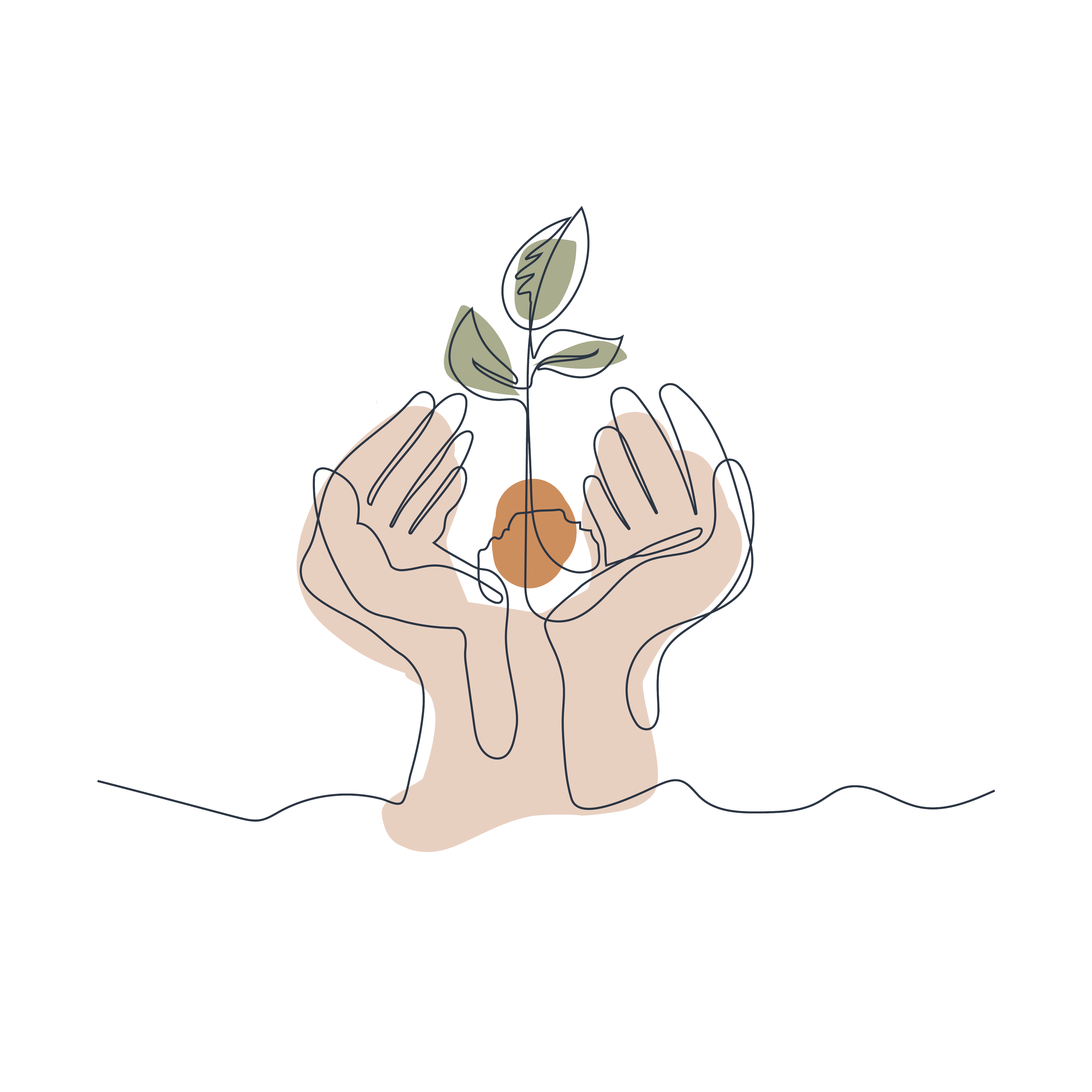 Hand-drawn illustration of two hands cupping a sapling