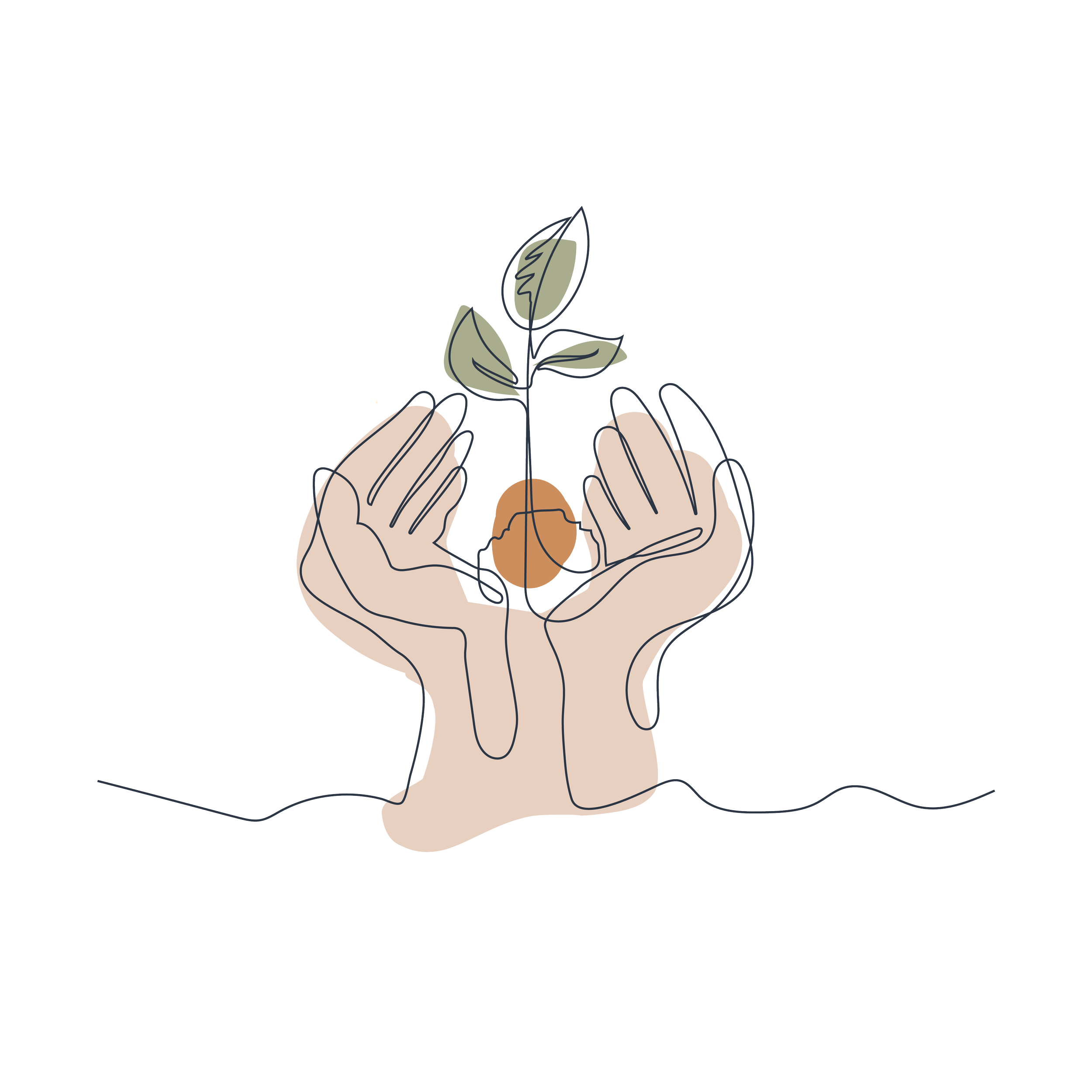 Hand-drawn line illustration of two hands cupping a sapling