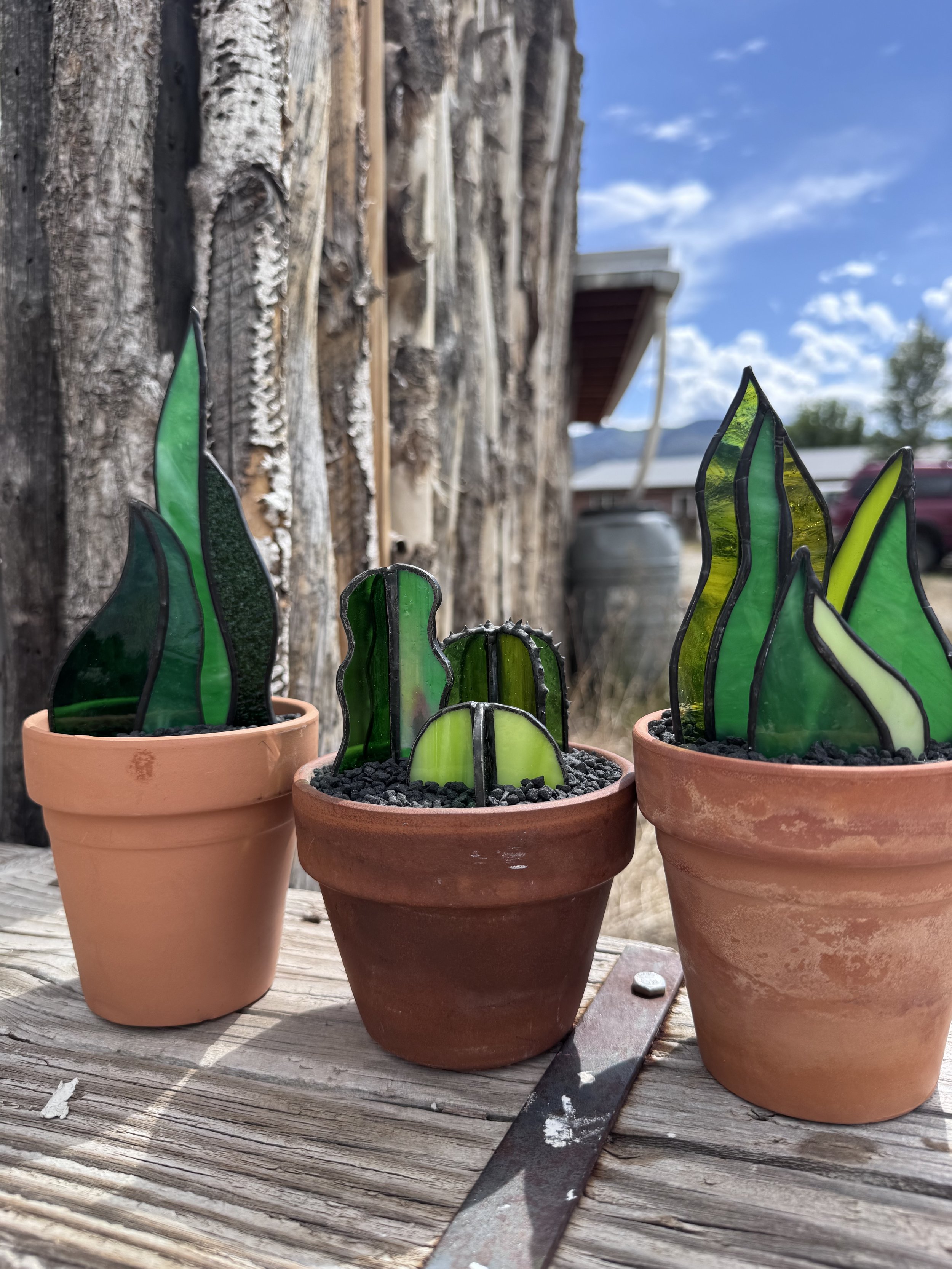 Stained Glass Plant