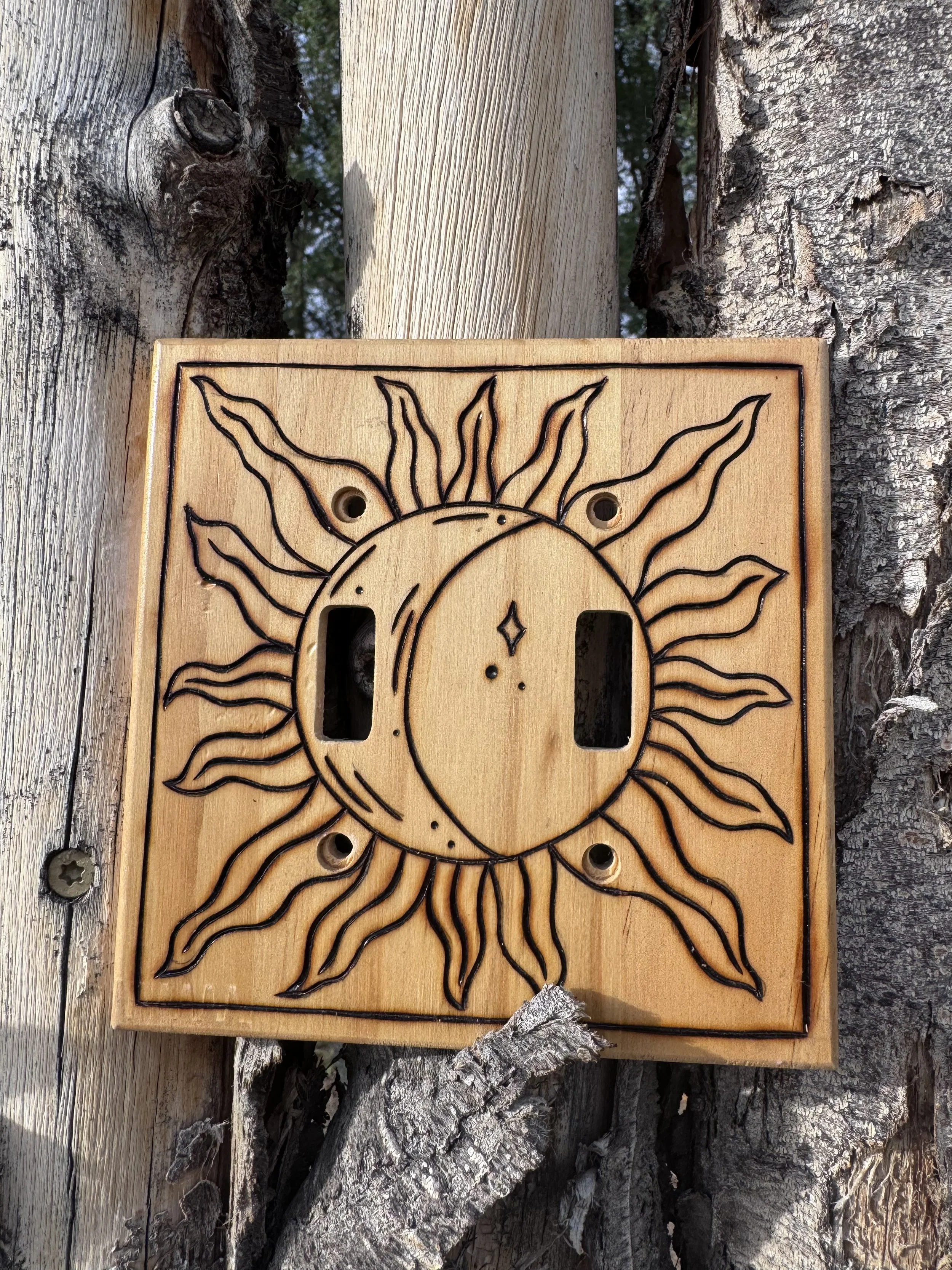 Light Switch Cover - $20