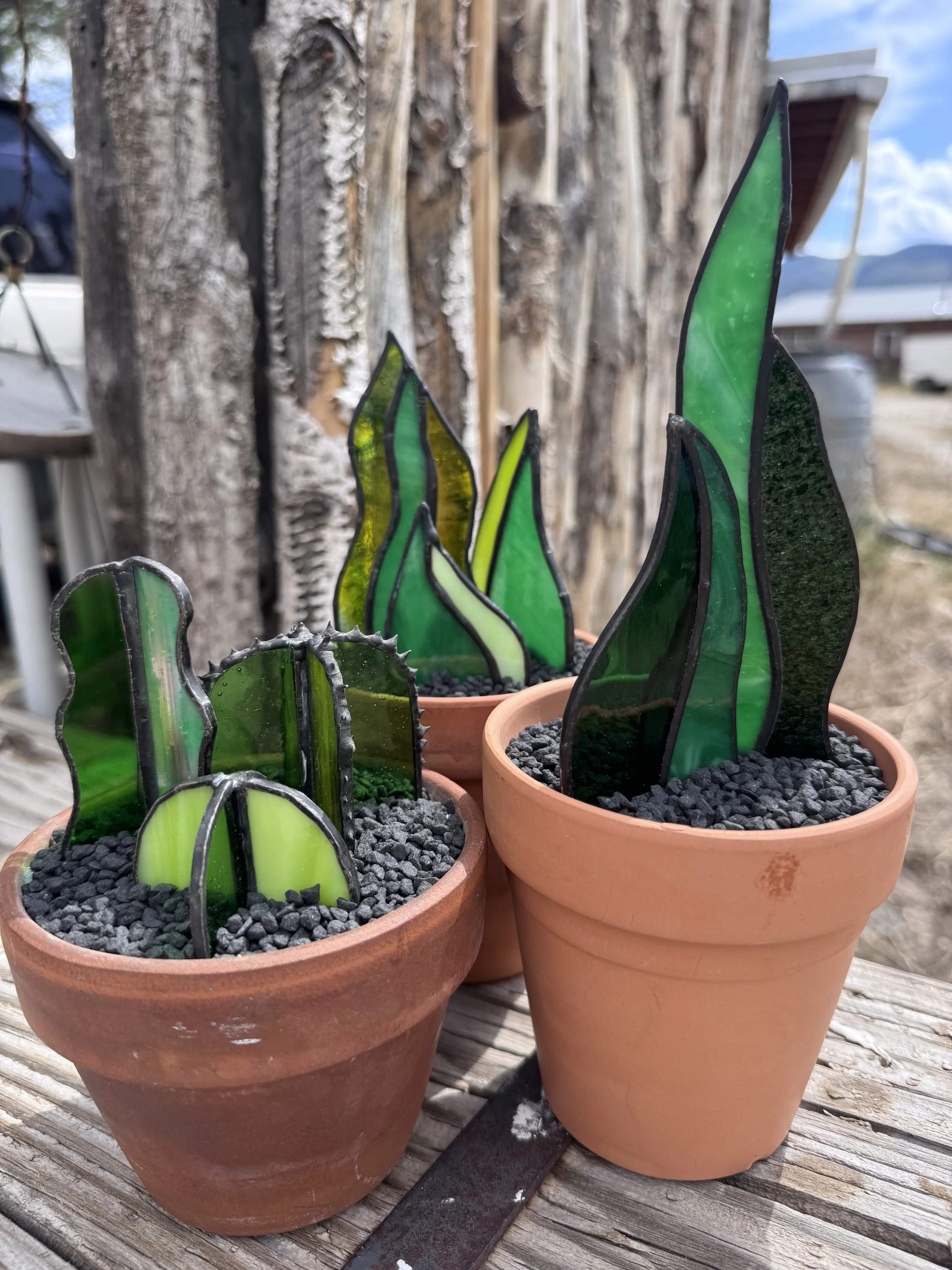 Stained Glass Plant