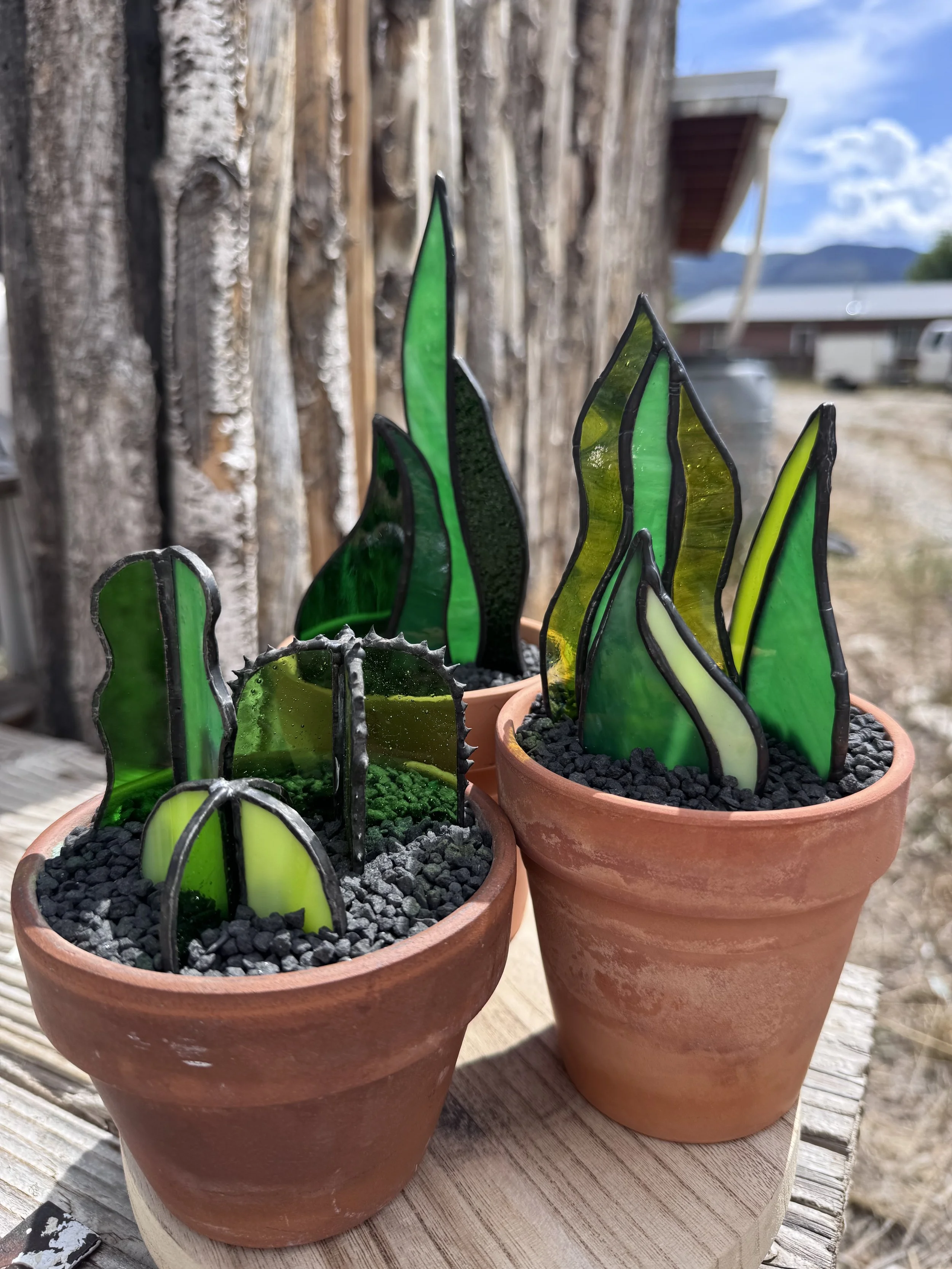 Stained Glass Plant