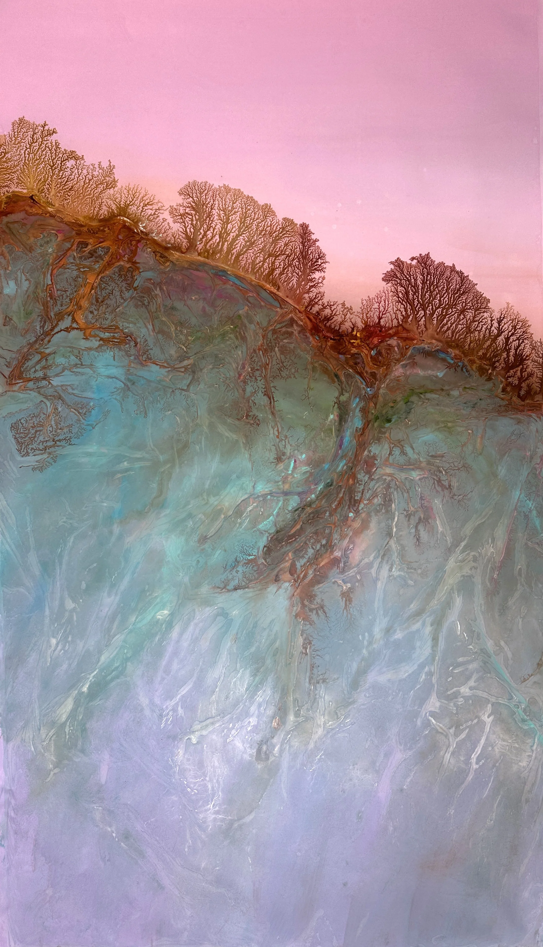 Ghost Forest 9.16.26