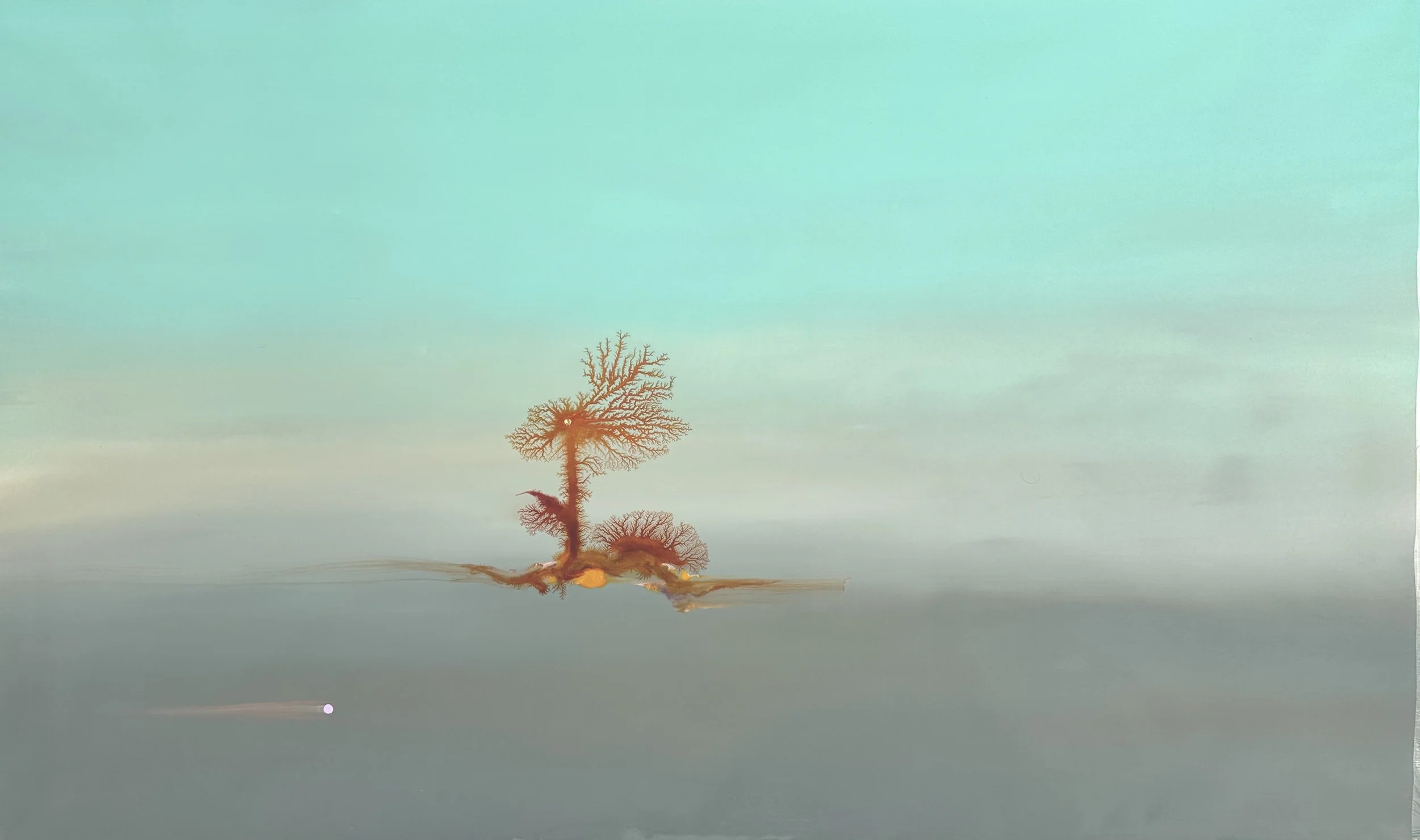 Ghost Forest 9.1.26