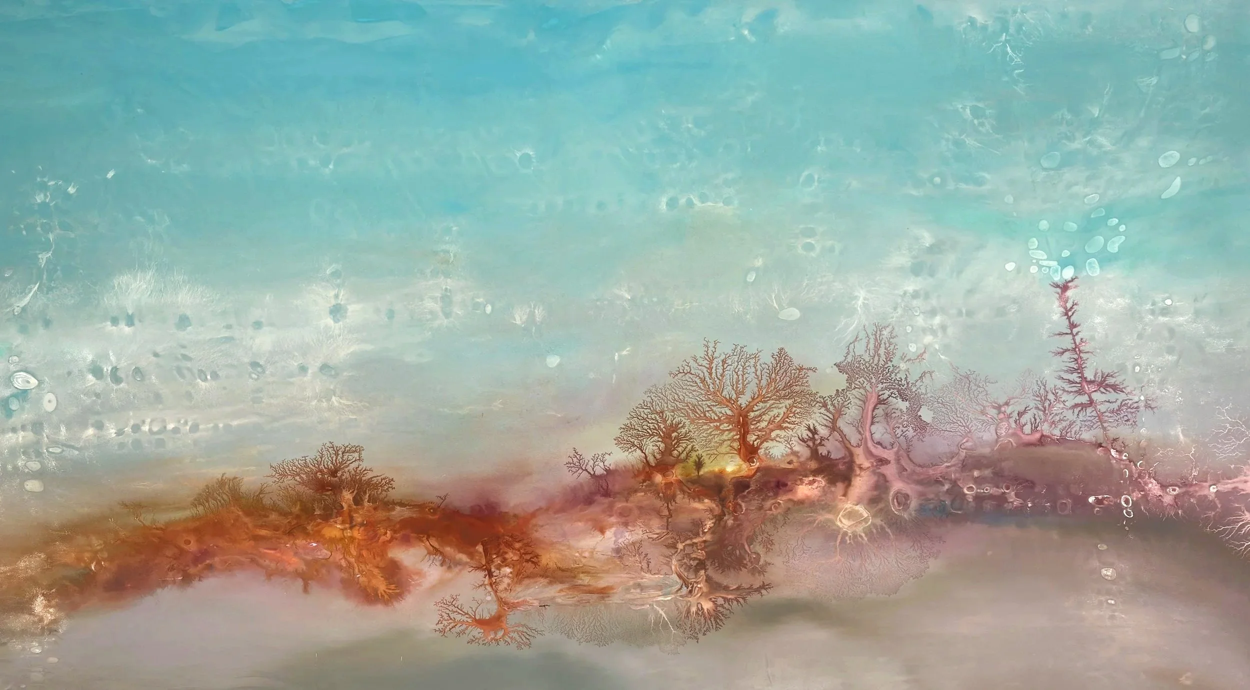 Ghost Forest 8.26.26