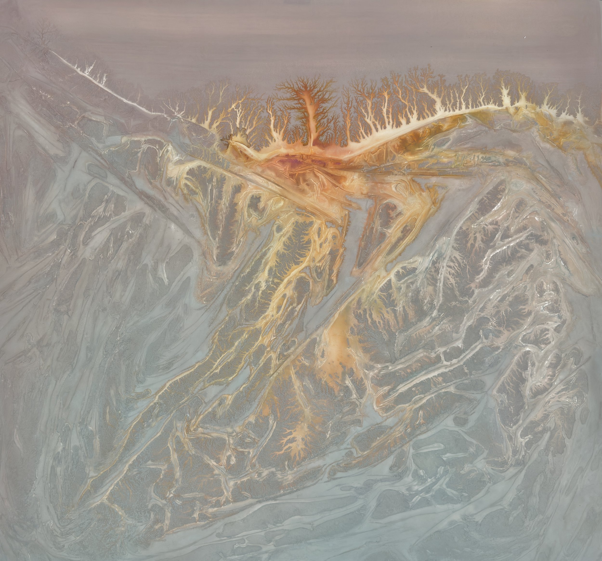 Ghost Forest 8.22.26