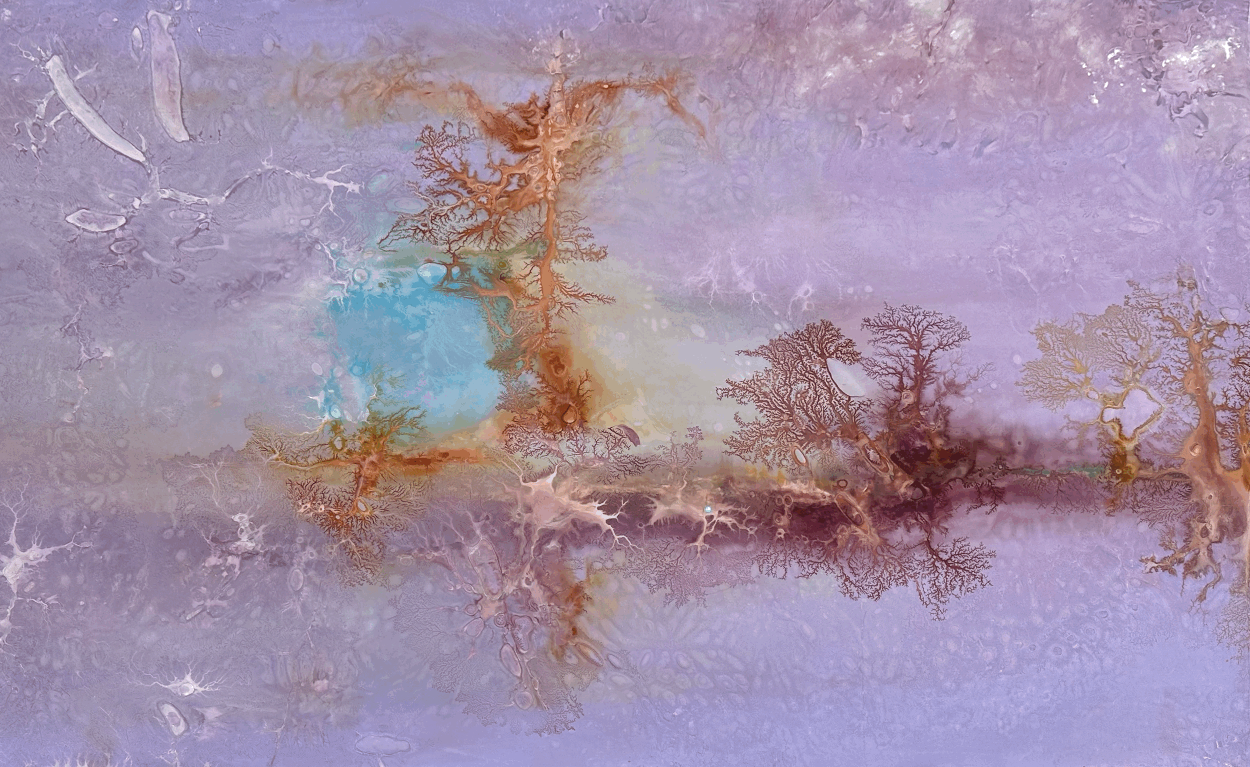 Ghost Forest 8.16.26